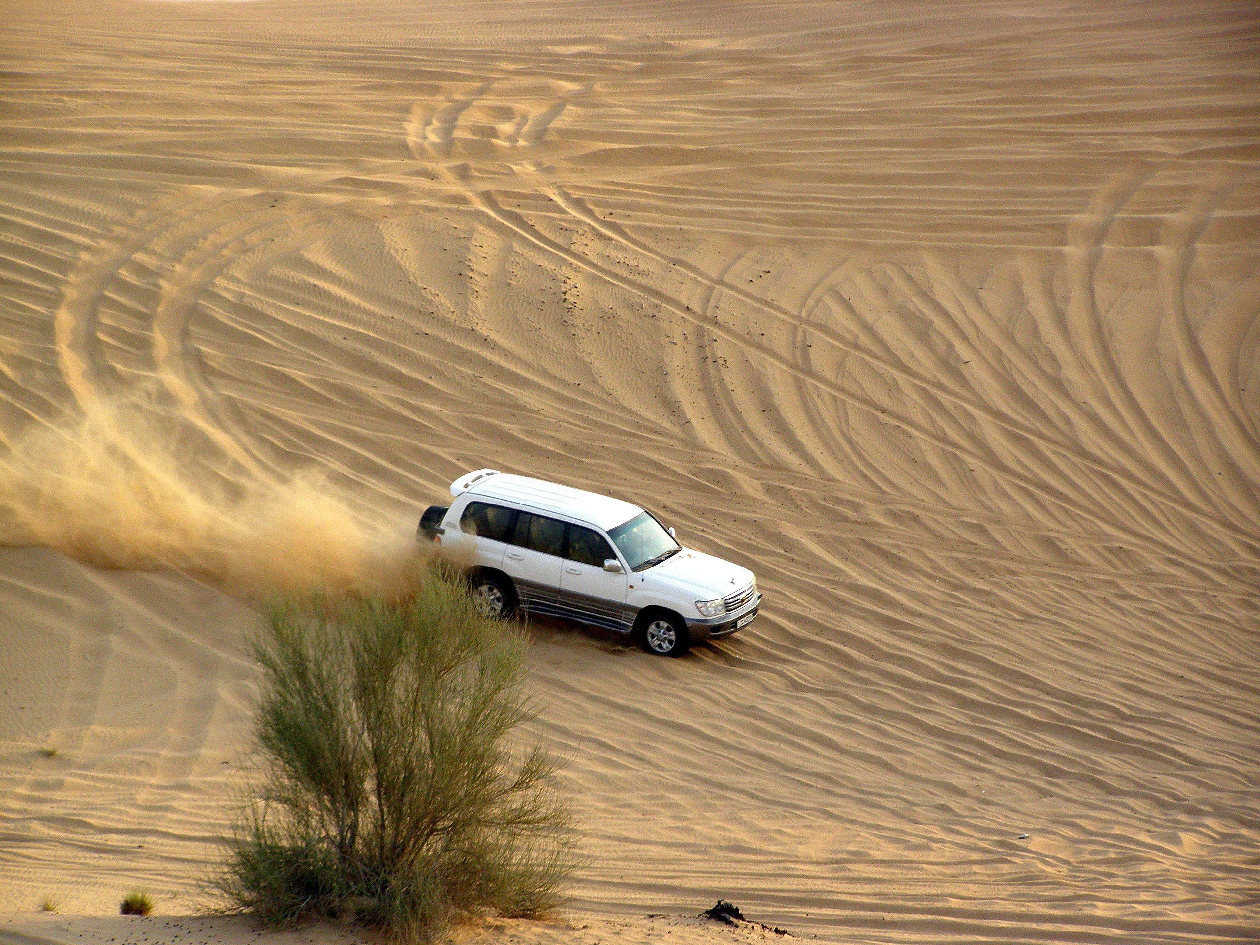 2560x1920 Desert Safari