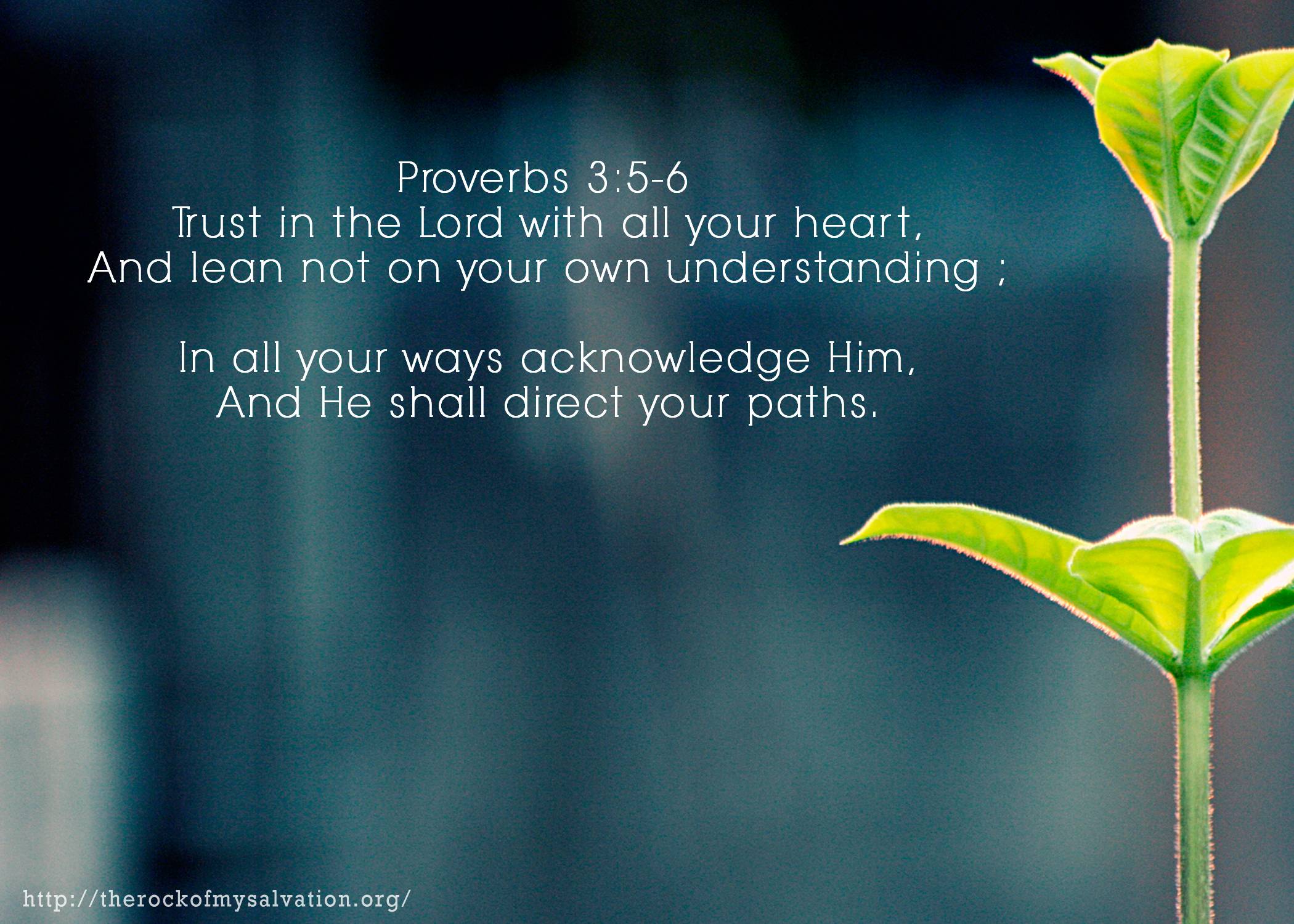 Proverbs Wallpapers Top Free Proverbs Backgrounds WallpaperAccess