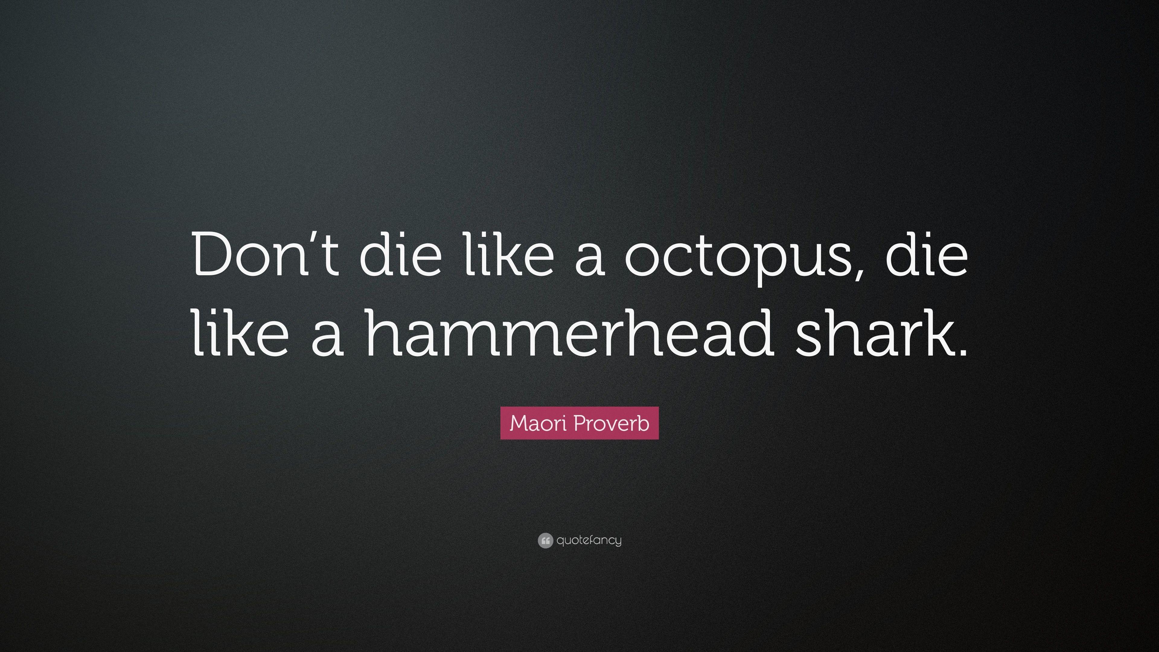 3840x2160 Maori Proverb Quote: “Don't die like a octopus, die like a