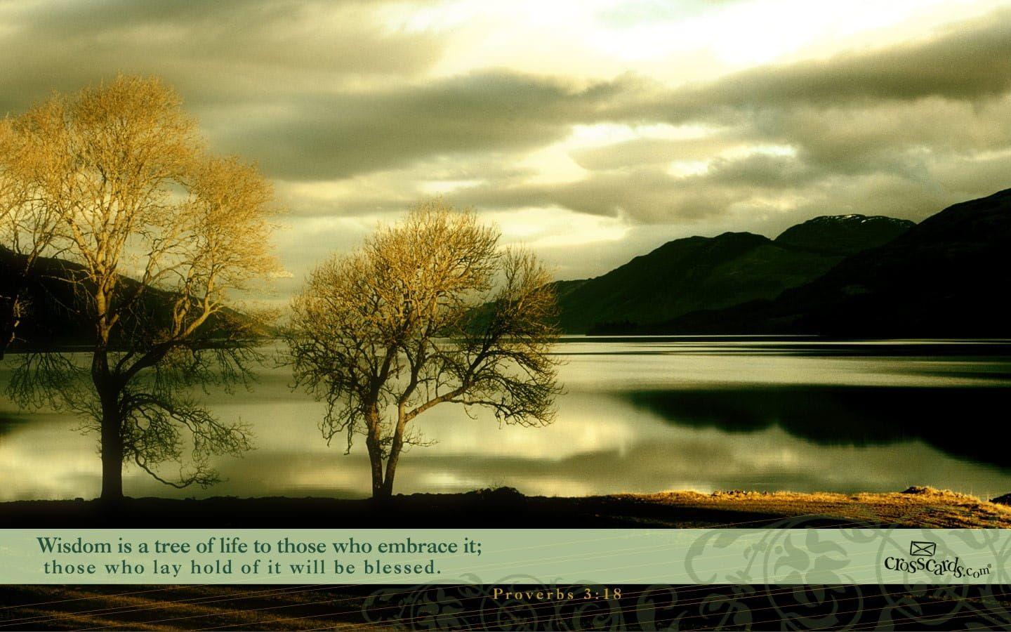 1440x900 Proverbs 3:18 Wallpaper Nature Desktop Background