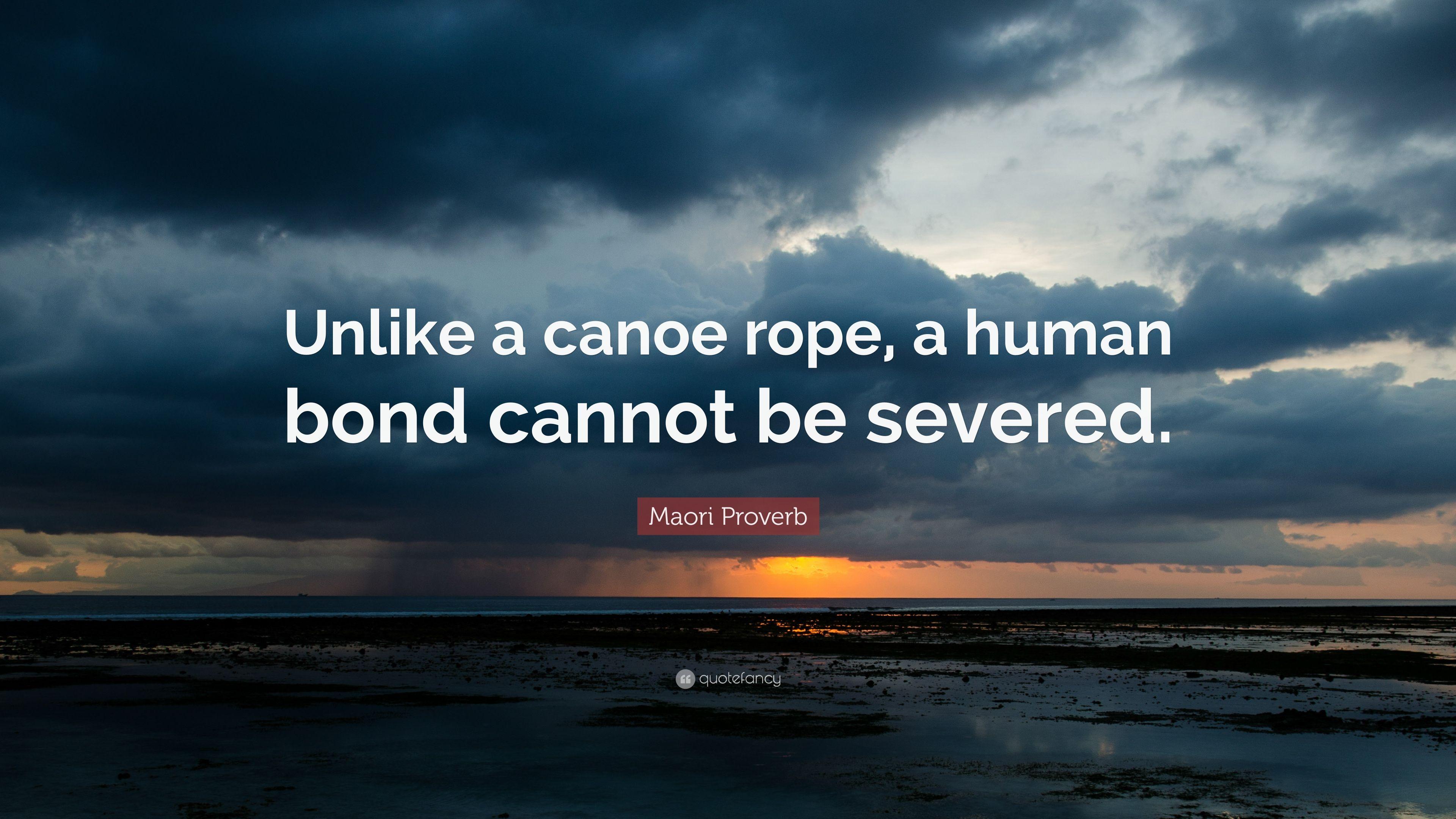 3840x2160 Maori Proverb Quote: “Unlike a canoe rope, a human bond