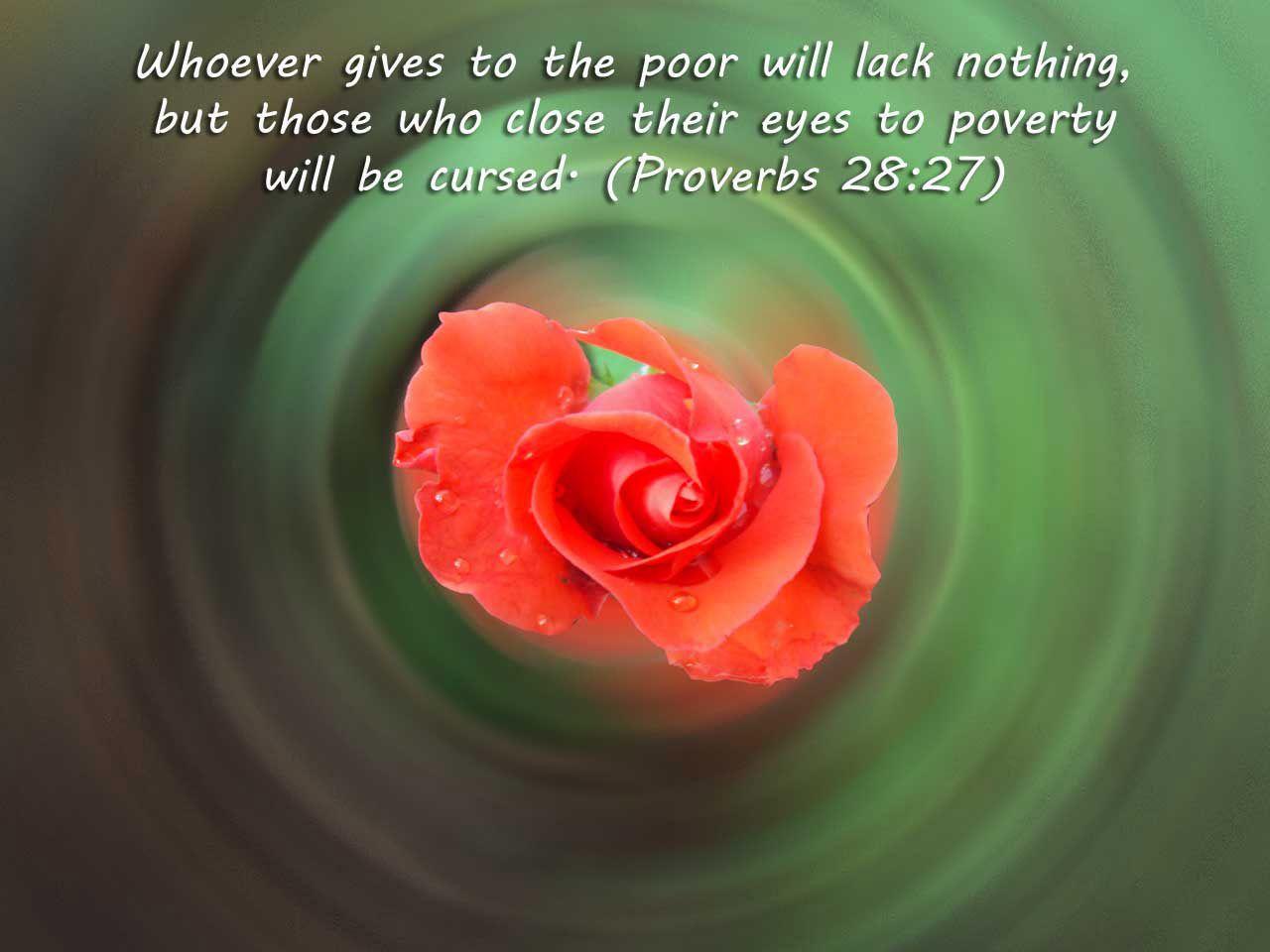 1280x960 Wallpaper, christian, proverbs, bible, proverbs wallpaper 3