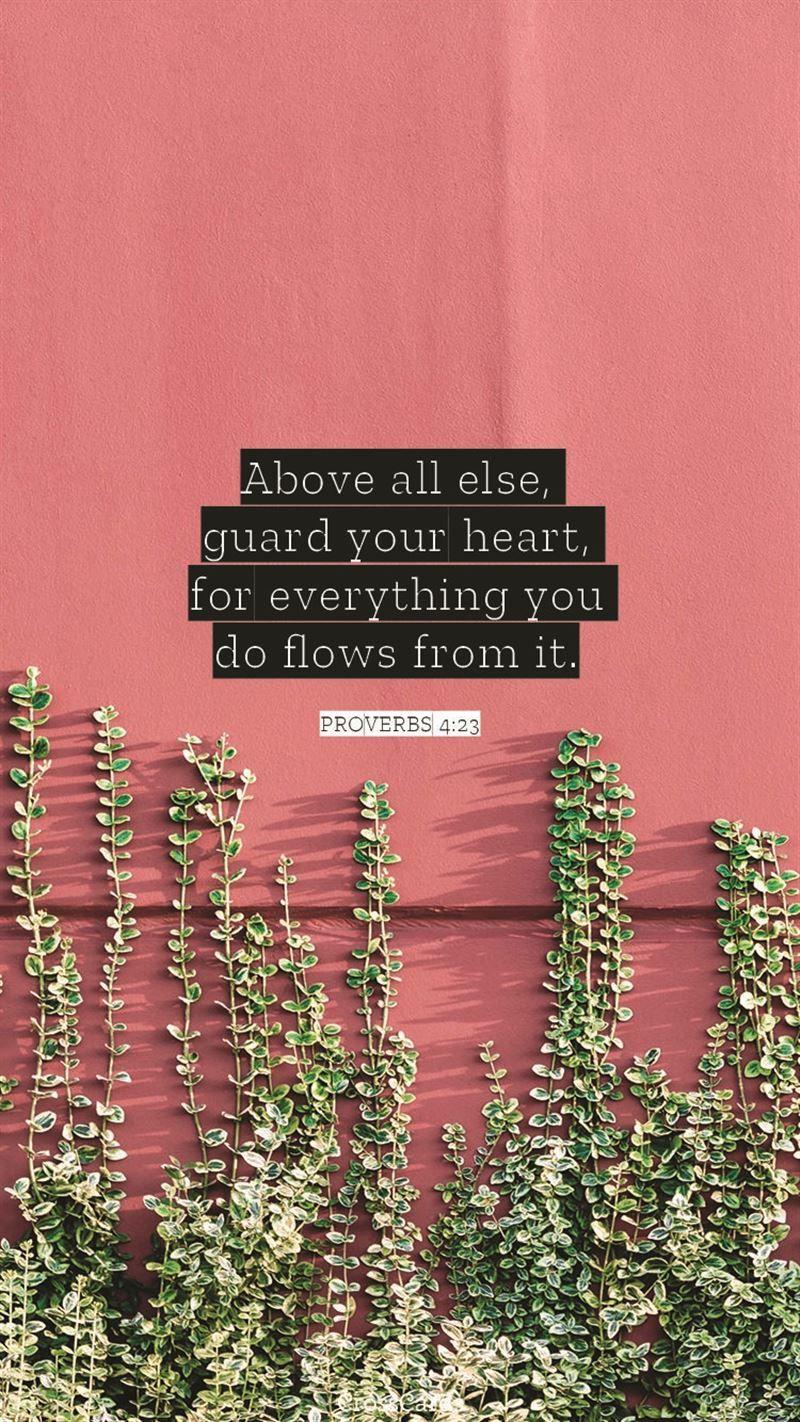 800x1422 Guard Your Heart 4:23