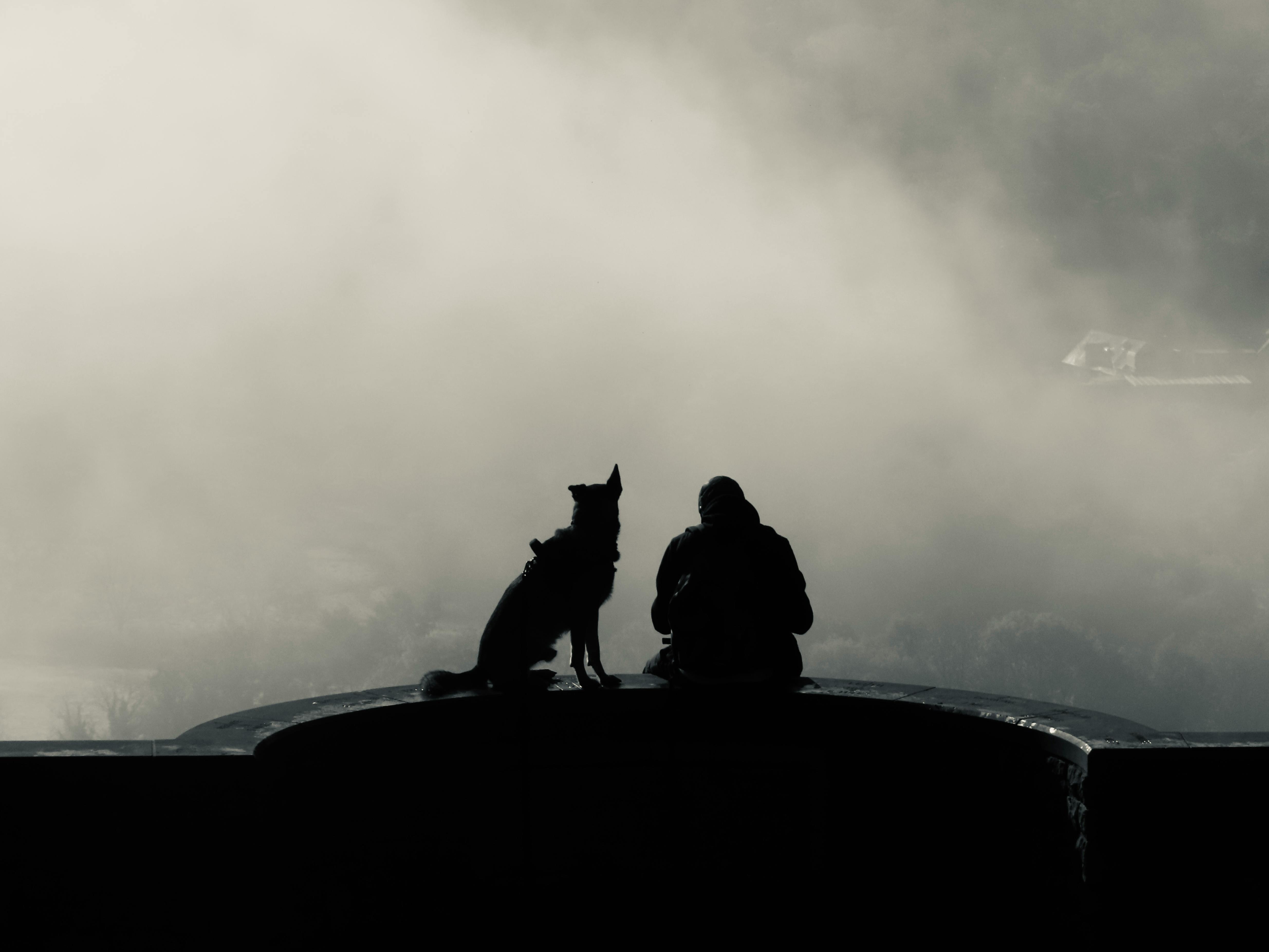 Man and Dog Wallpapers - Top Free Man and Dog Backgrounds - WallpaperAccess