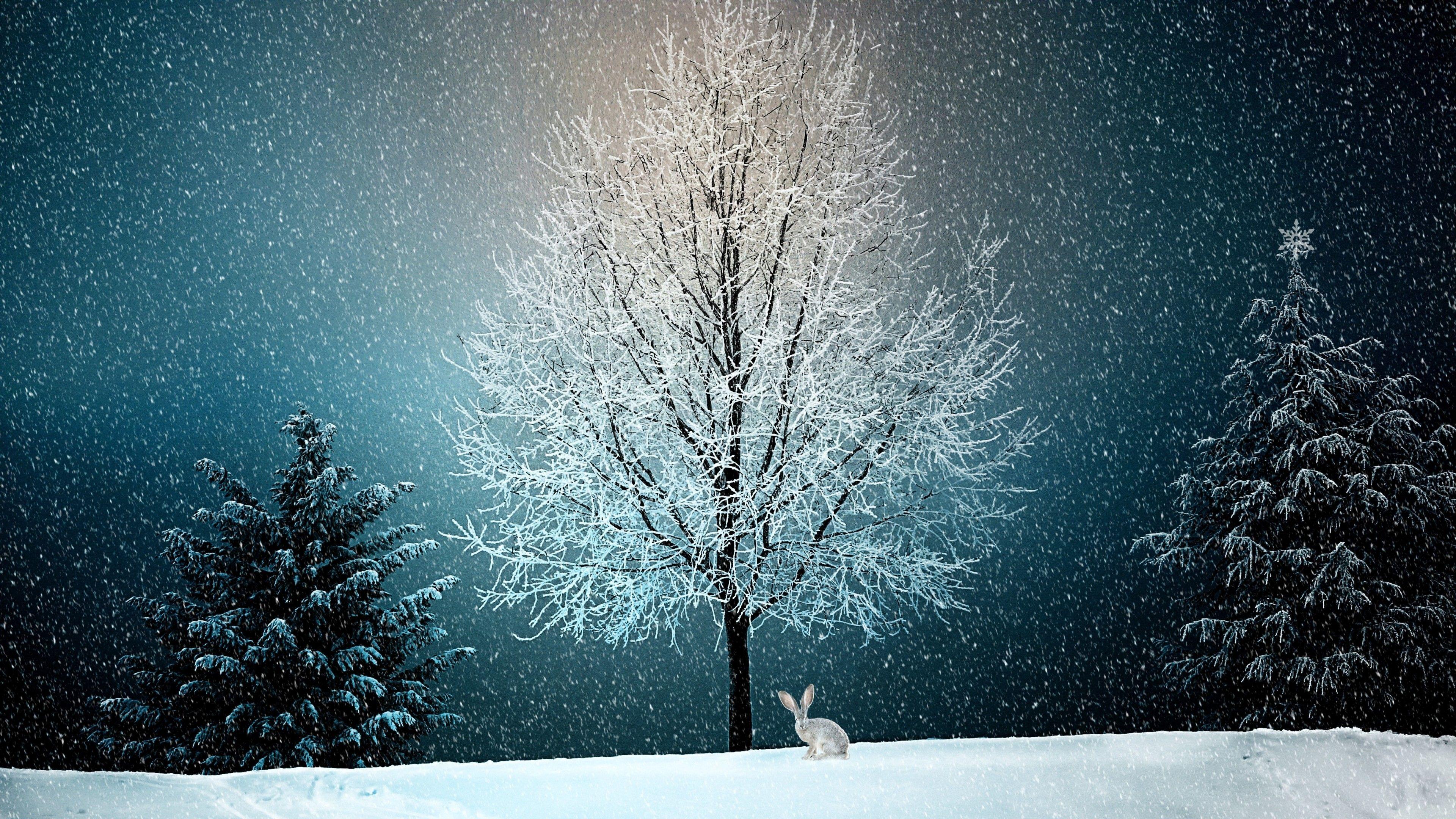 3840x2160 Unique Fairytale Winter Scenery Wallpaper Free Wallpaper