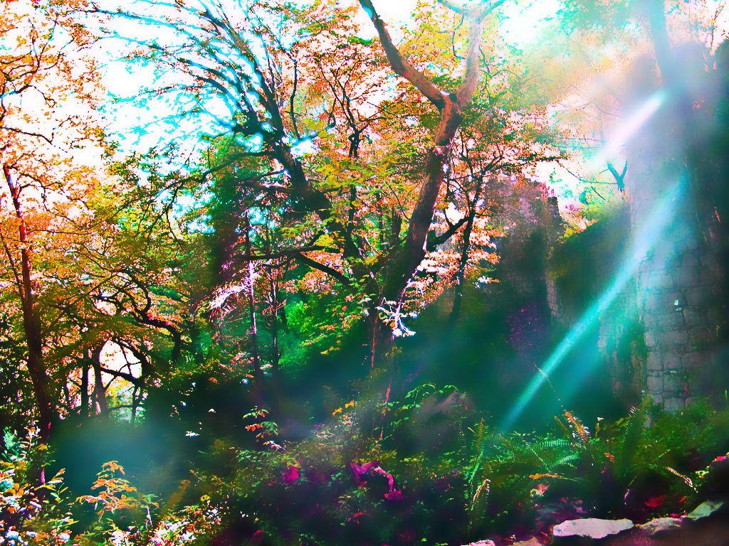 1024x768 Fairytale background