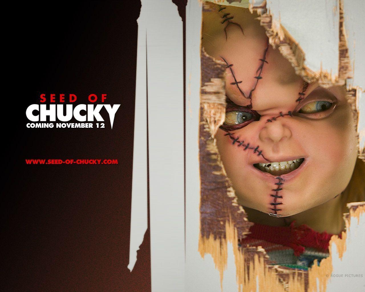 Hình nền 1280x1024 Chucky.  Shahrukh khan.  Chucky