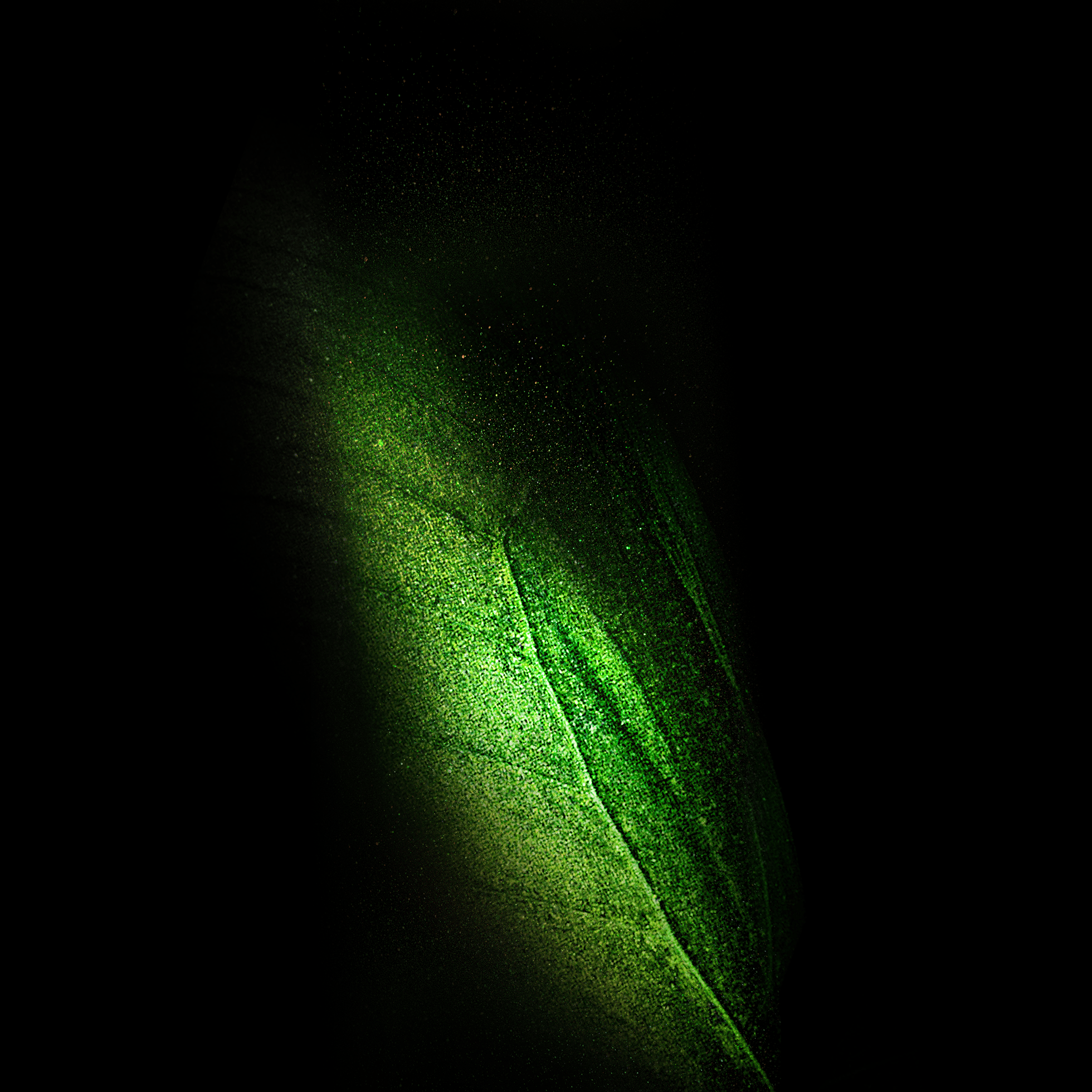 1960x1960 Download Samsung Galaxy Fold wallpaper