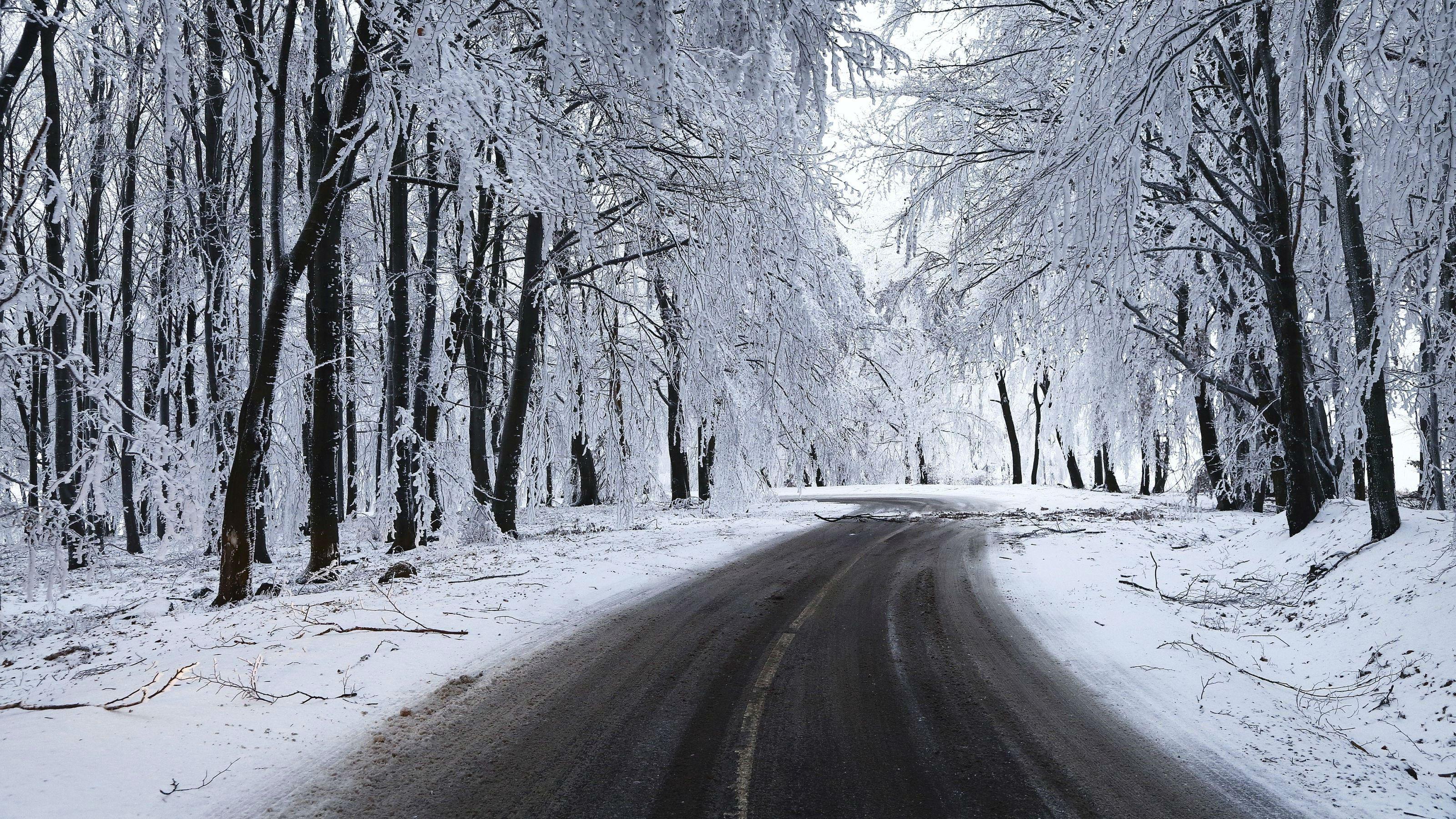 3200x1800 Winter Road Full HD Wallpaper and Background Imagex1800