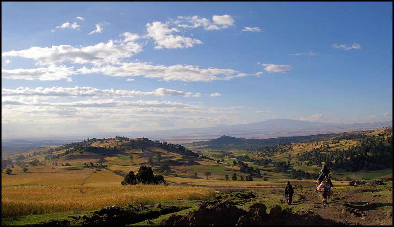 1290x745 ethiopia and the guy in the ass. HD Windows Wallpaper