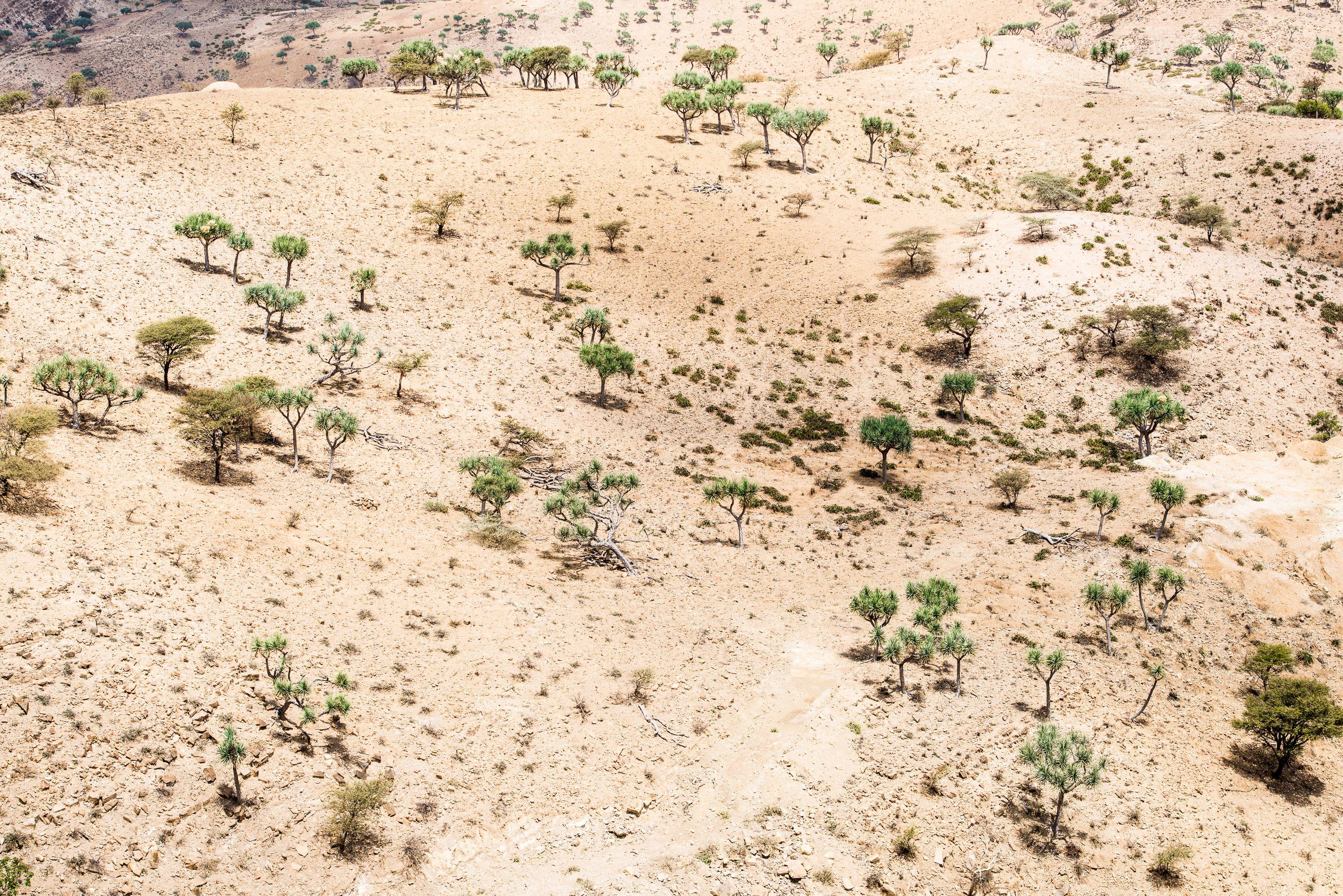 3000x2002 Danakil Desert, Ethiopia