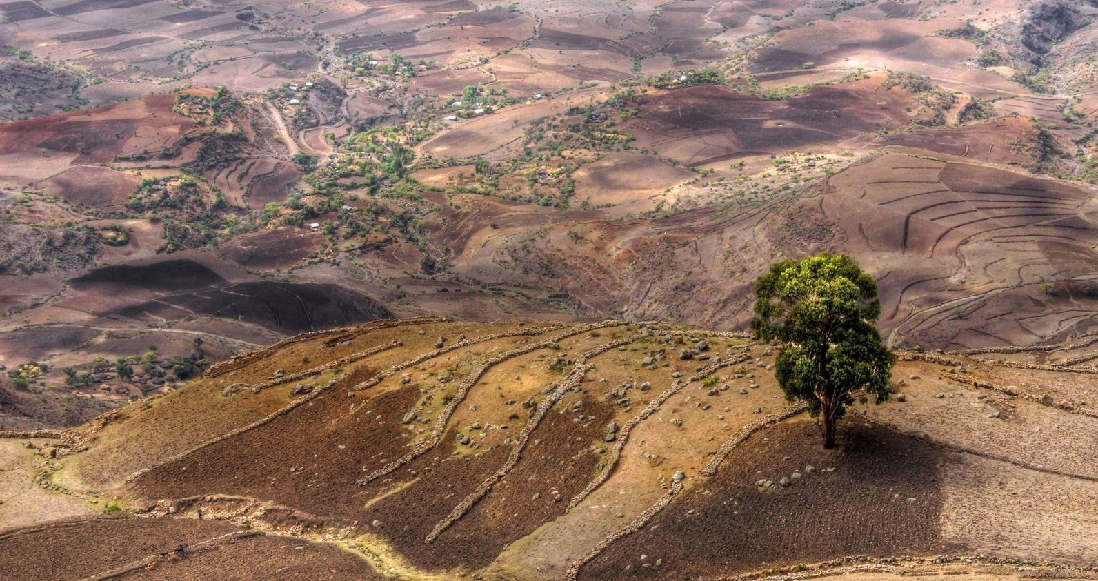 Ethiopia Wallpapers - Top Free Ethiopia Backgrounds - WallpaperAccess