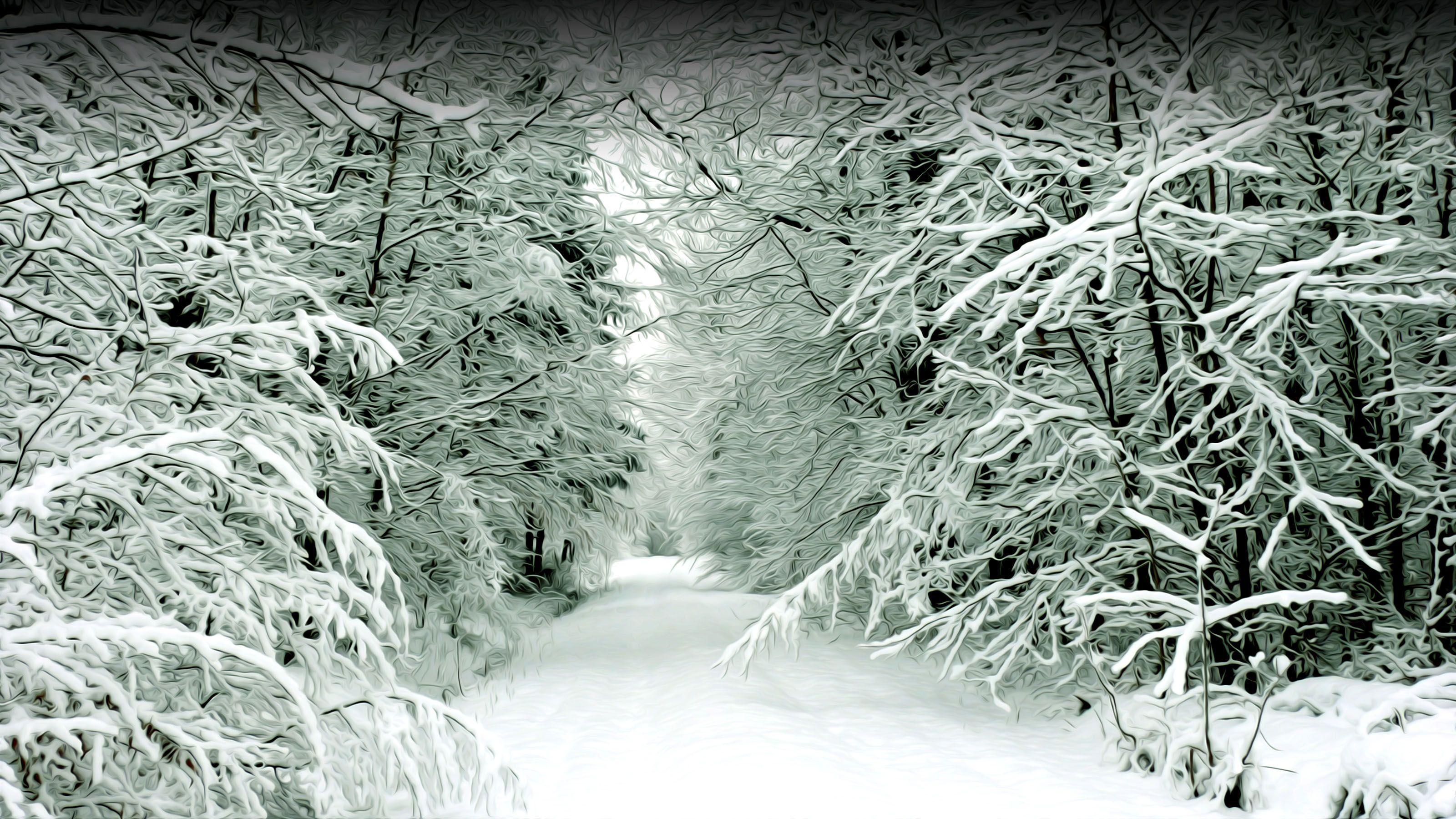 3200x1800 Winter Scene. Free Desktop Wallpaper for Widescreen, HD and Mobile