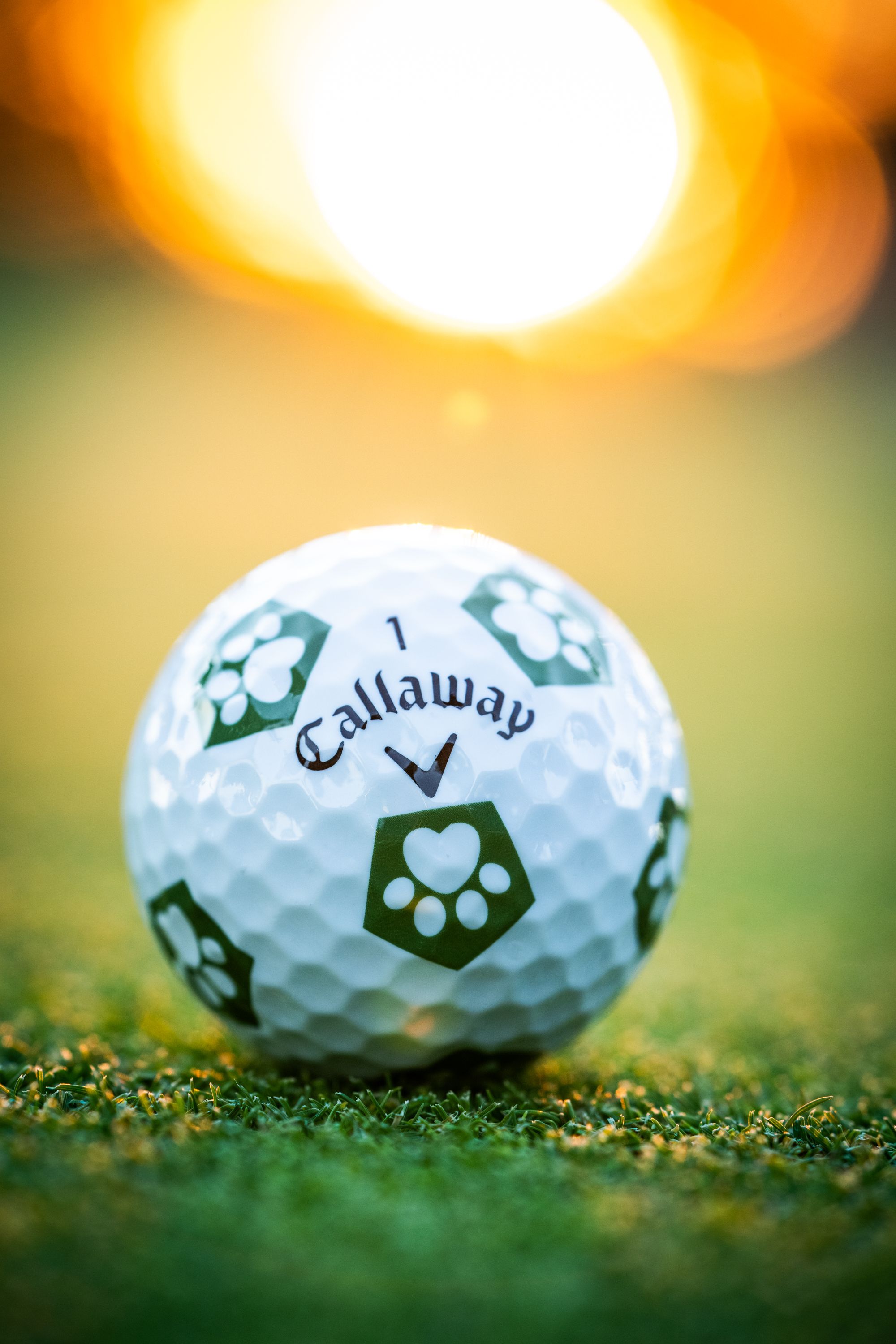 2000x3000 Chrome Soft Dog Paw Truvis showcases