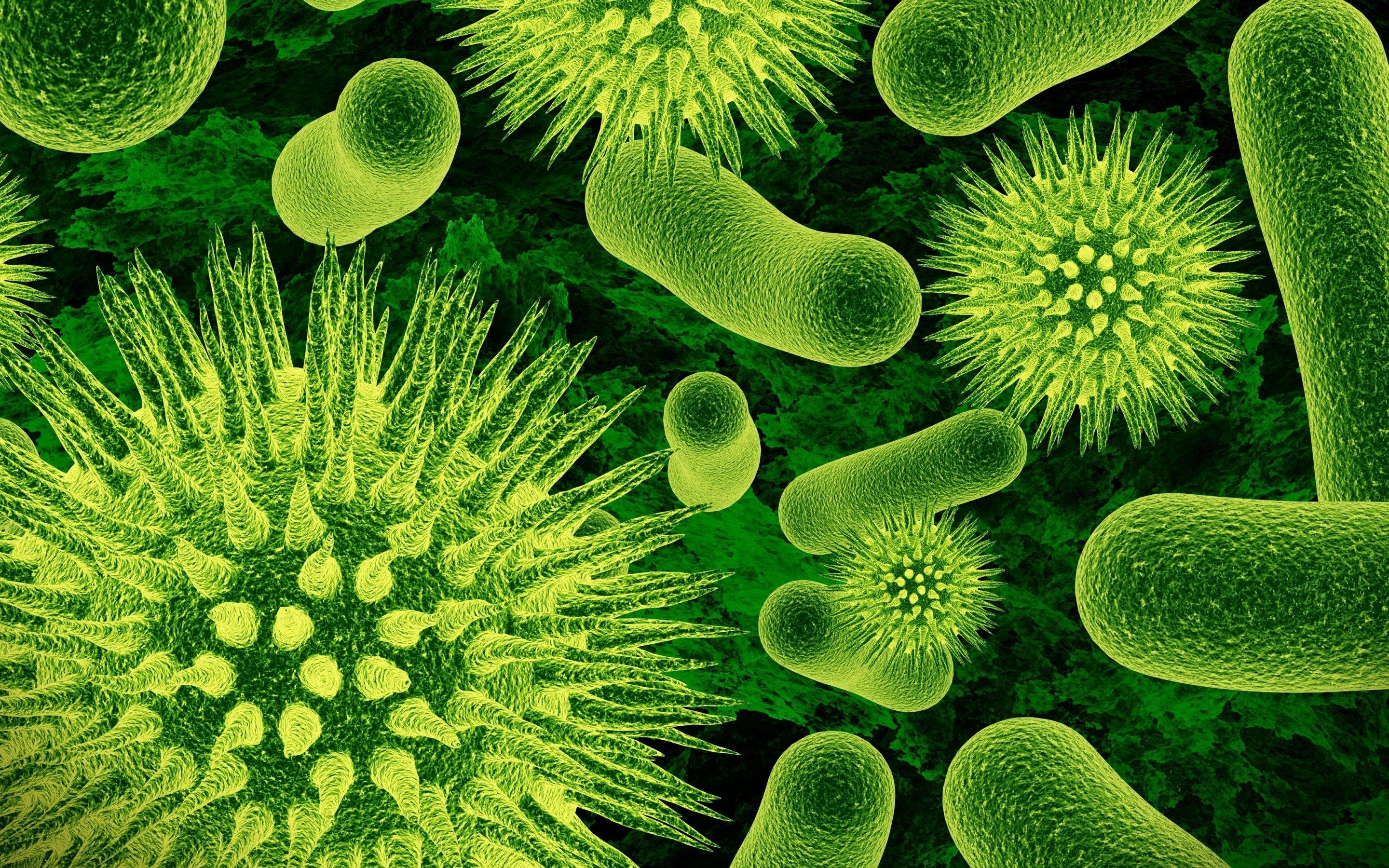 Vibrant Can Mkv Files Have Viruses Image for Your Screen Vibrant Can Mkv Files Have Viruses Image for Your Screen