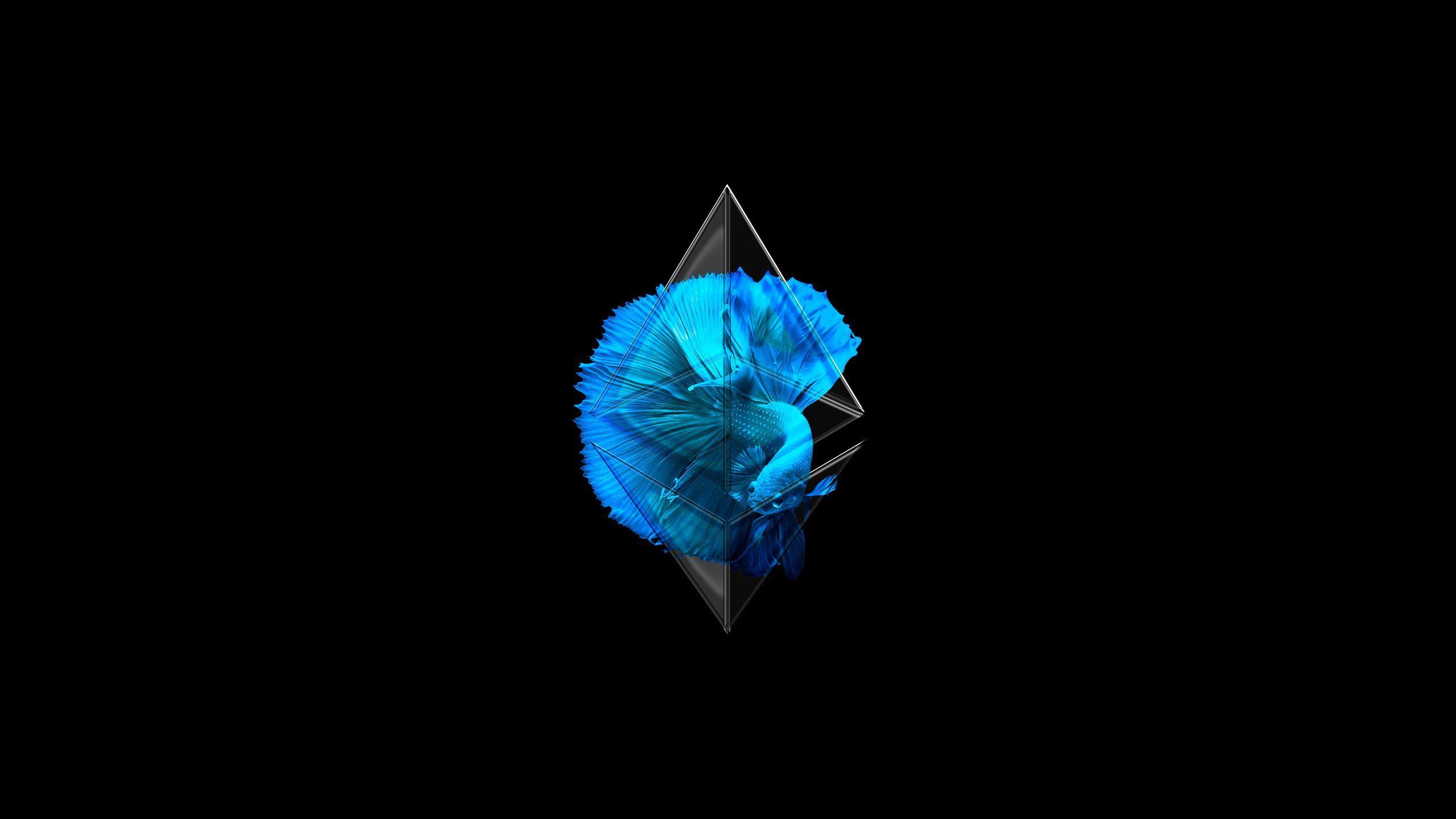 Ethereum Wallpapers - Top Free Ethereum Backgrounds - WallpaperAccess