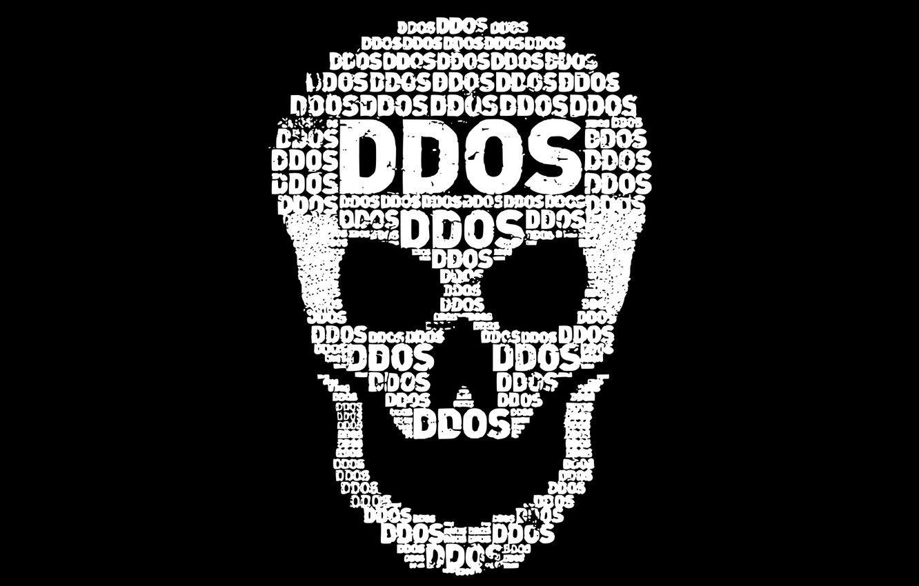 Hacker Skull Wallpapers - Top Free Hacker Skull Backgrounds ...