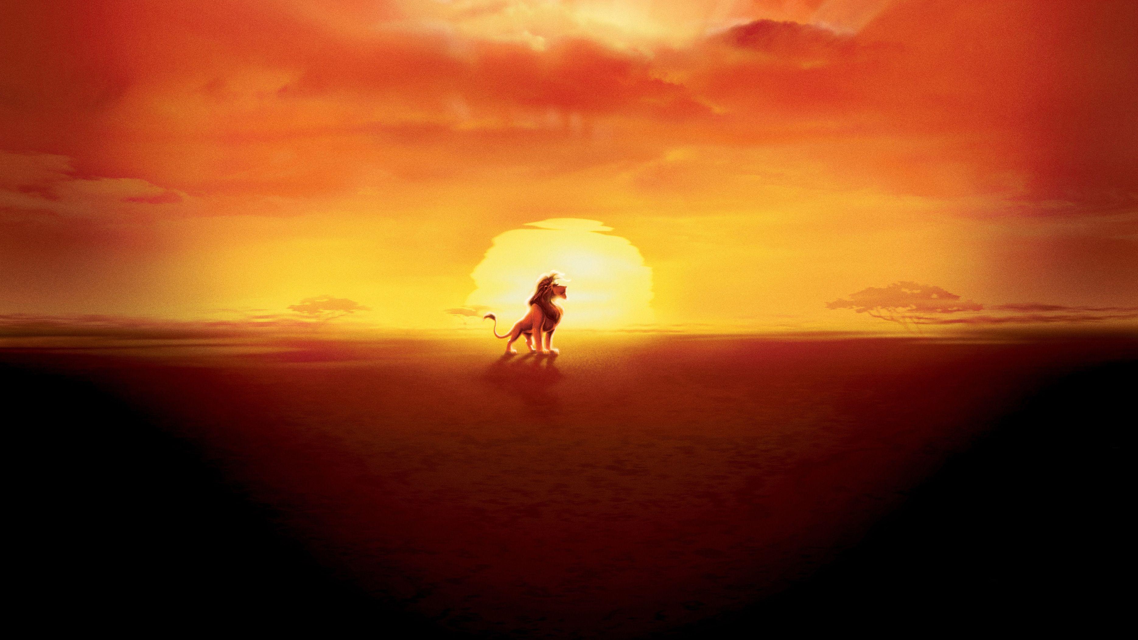 3739x2103 Simba, HD Movies, 4k Wallpaper, Image, Background, Photo