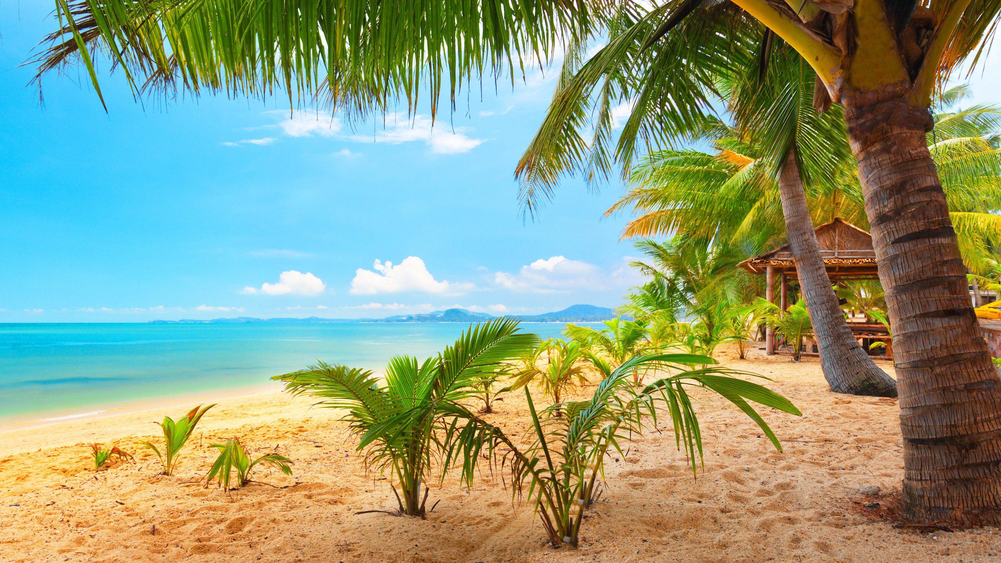 3200x1800 Beach Wallpaper image picture. Free Download