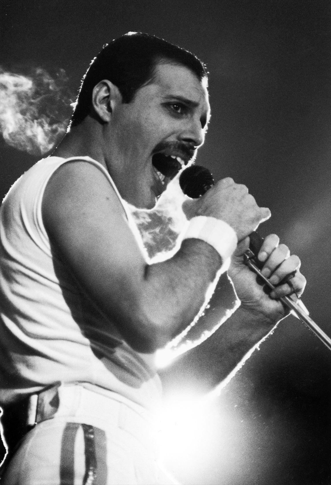 Freddie Mercury Wallpapers - Top Free Freddie Mercury Backgrounds ...