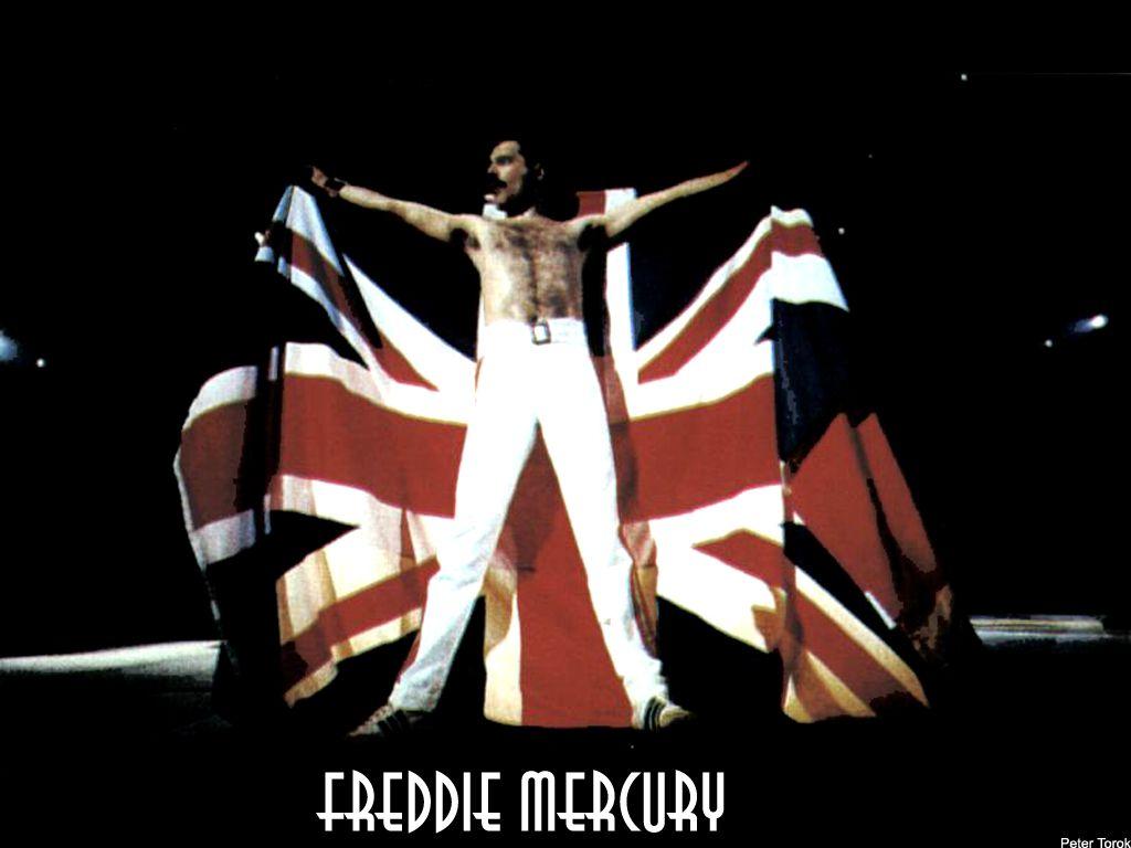 1024x768 Freddie Mercury Mercury Wallpaper