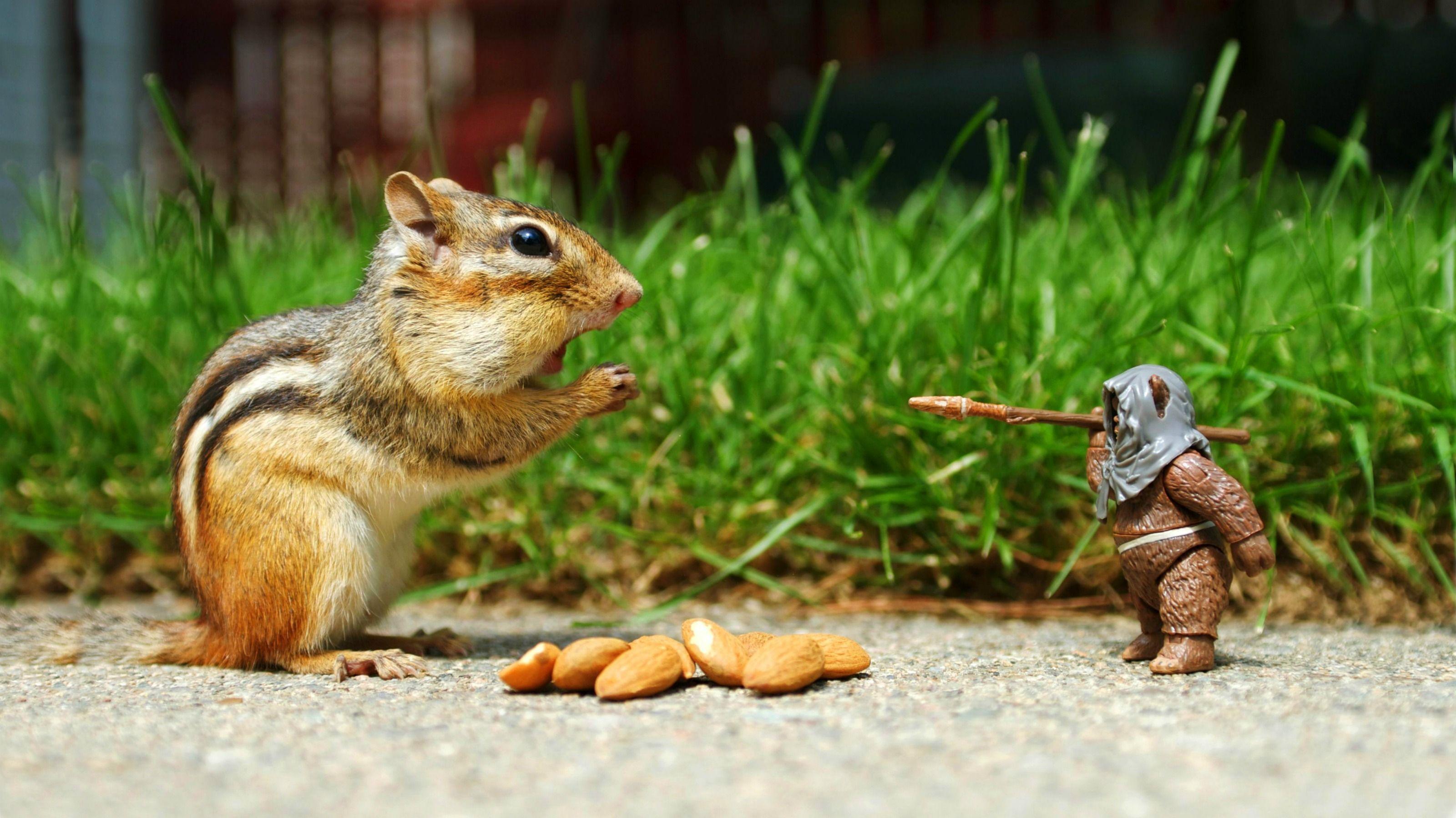 3200x1800 Funny Wallpaper 3200x1800 image picture. Free Download
