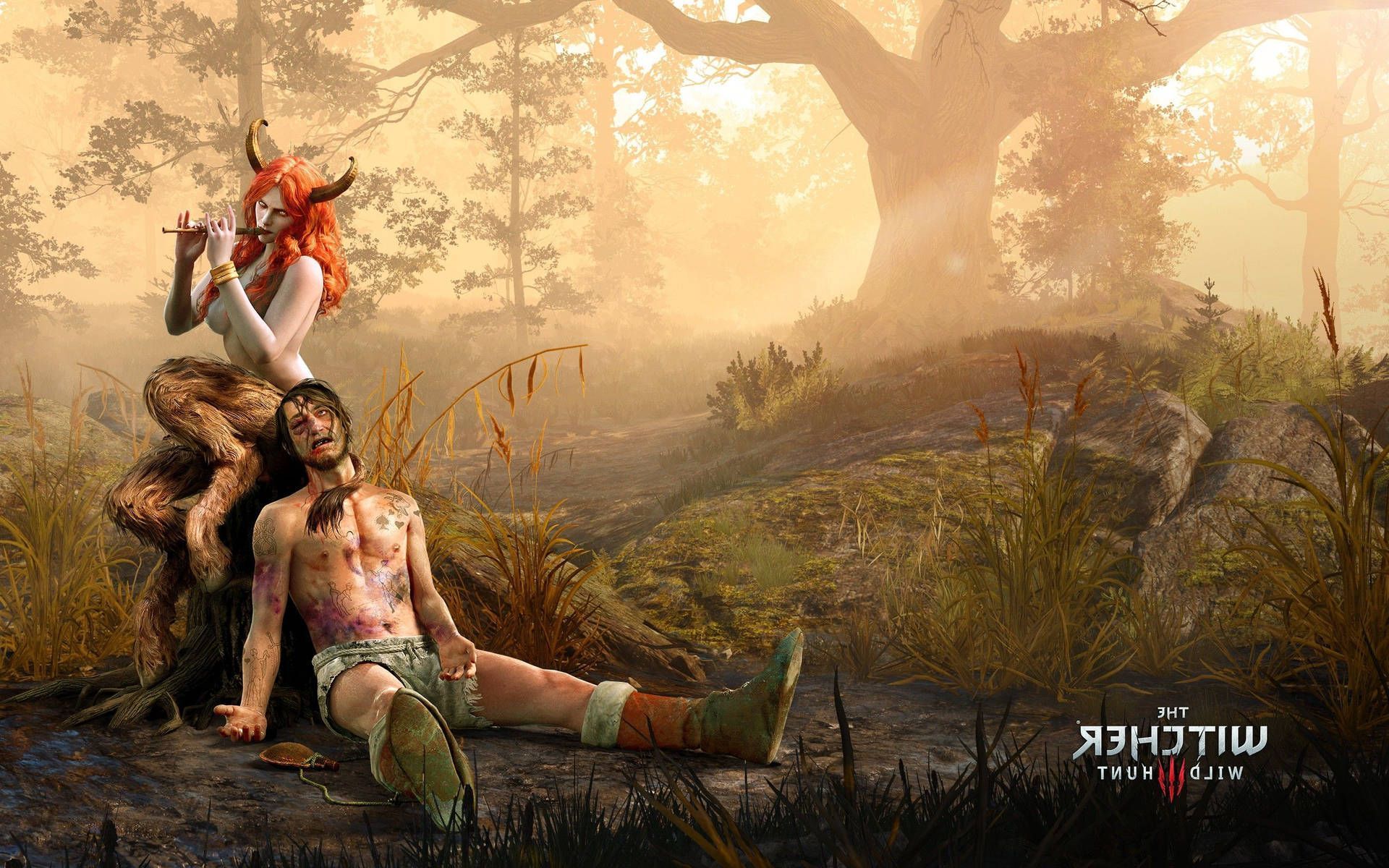 1920x1200 Download free The Witcher 3 Wild Hunt 2