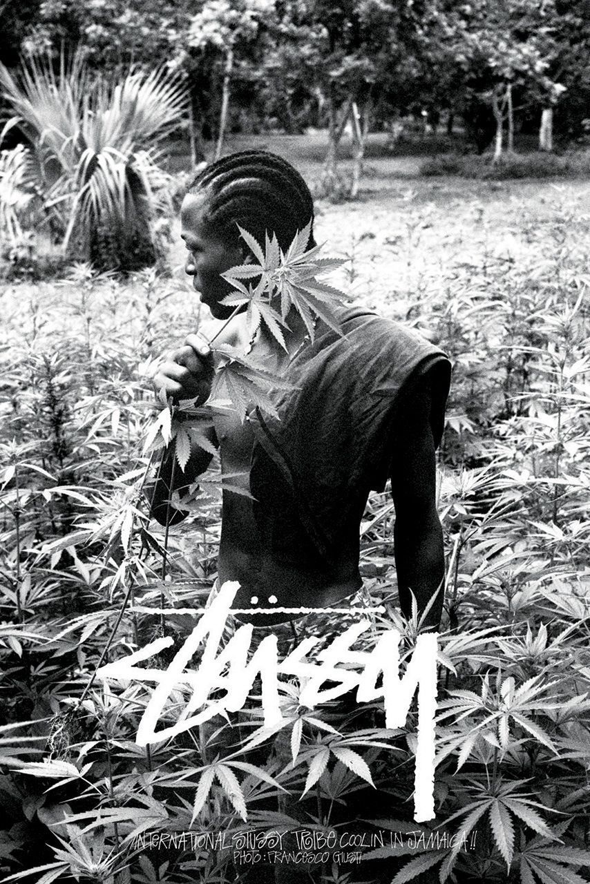 854x1280 Stussy Wallpaper
