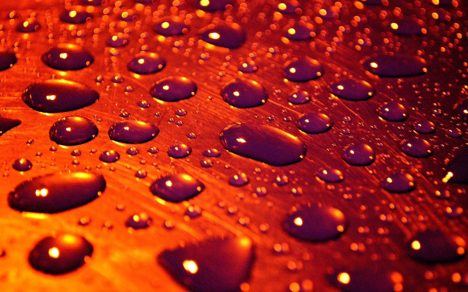 1920x1200 Water Drops Wallpaper