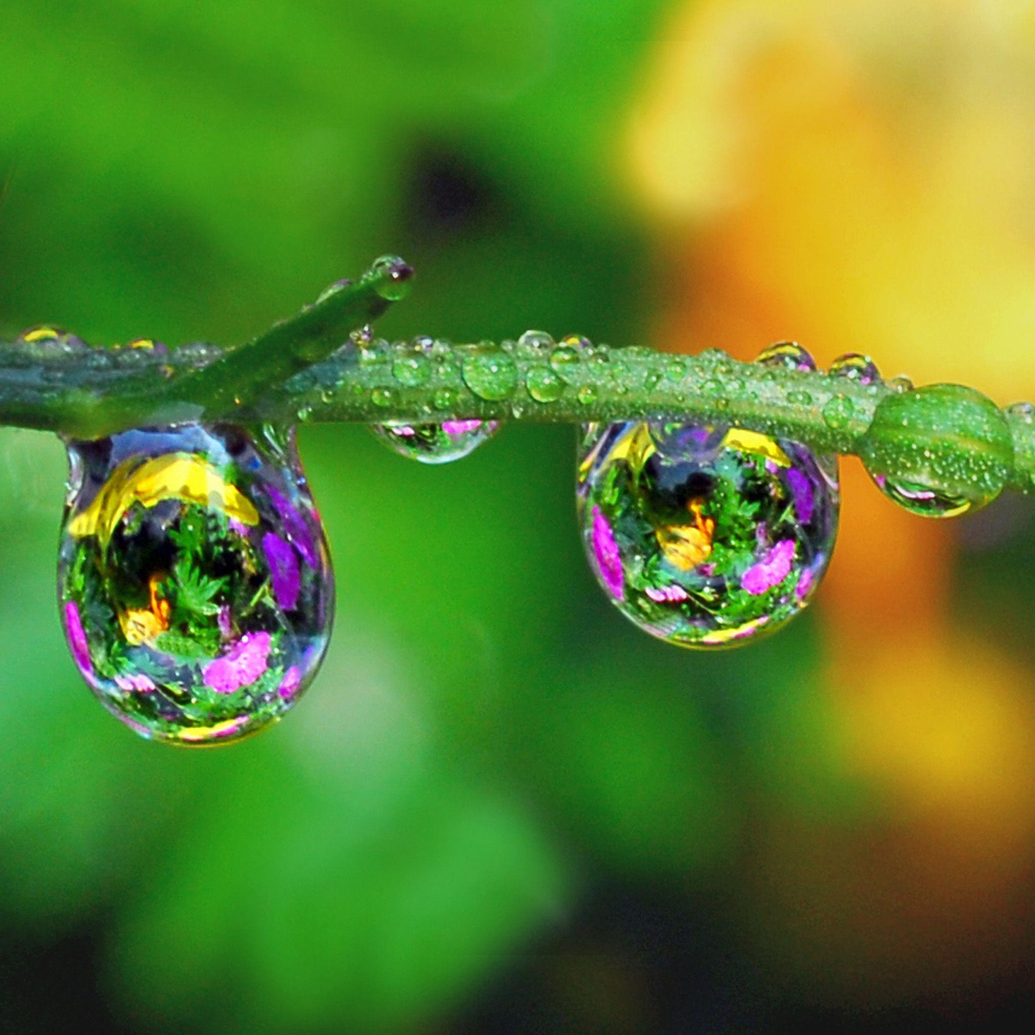 2048x2048 Best Water drop iPad Air HD Wallpaper