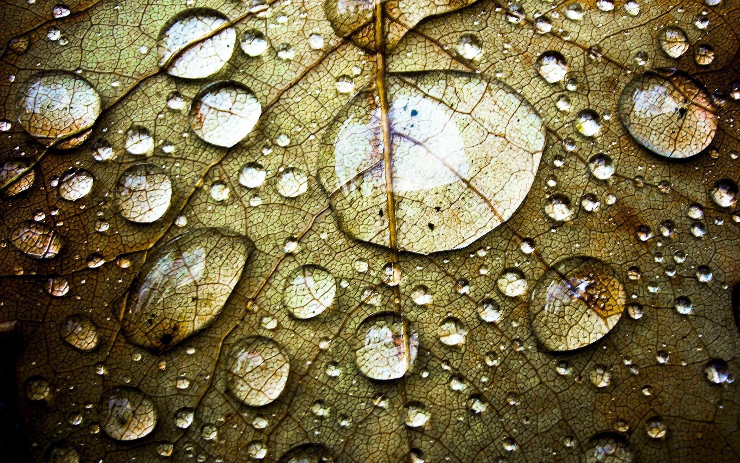 2560x1600 Water Drop Wallpaper