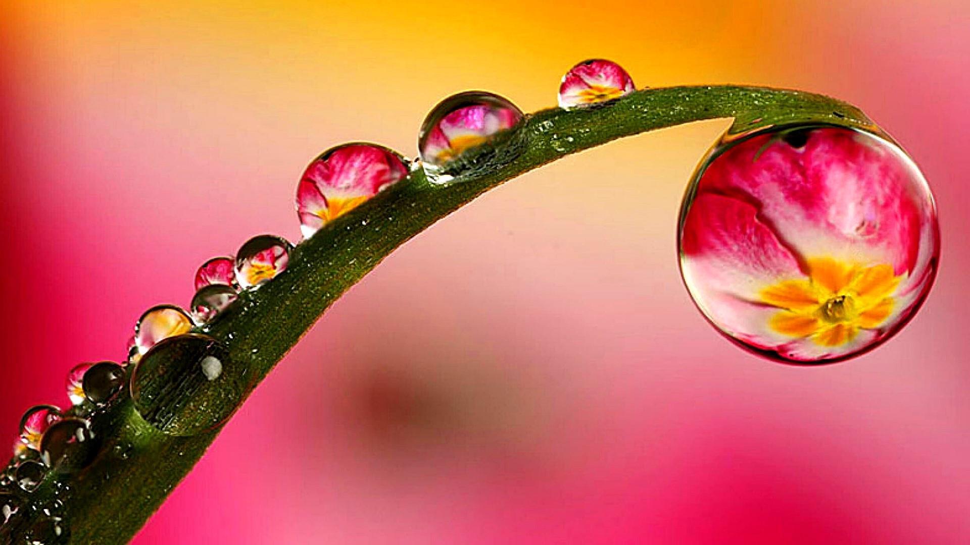 1920x1080 Water Drops Wallpaper 4K (1920x1080 px). Wallperio.com™