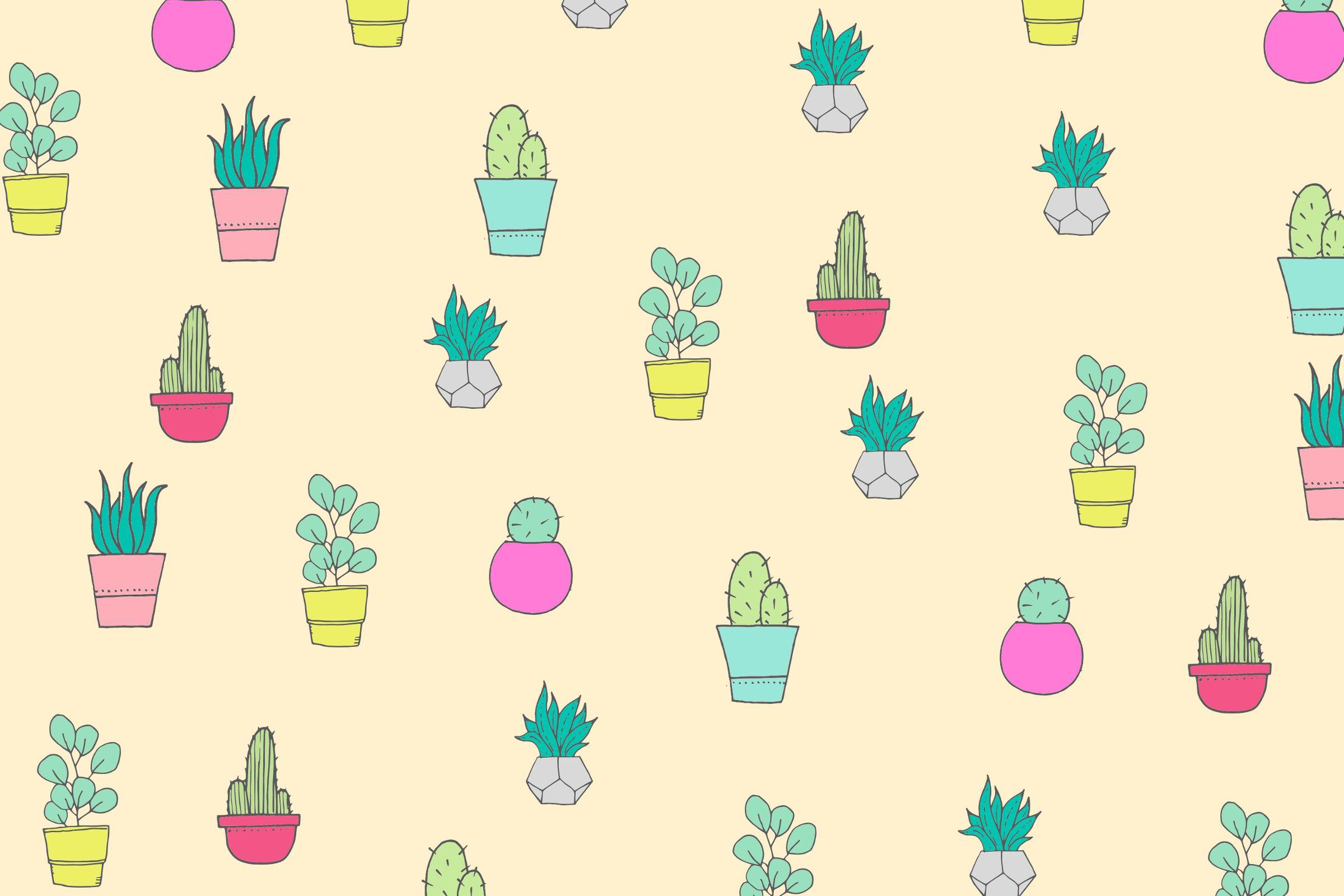 2400x1600 Cactus Wallpaper