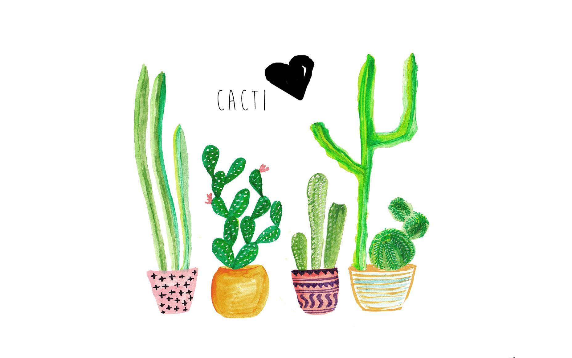1856x1161 Cactus Wallpaper