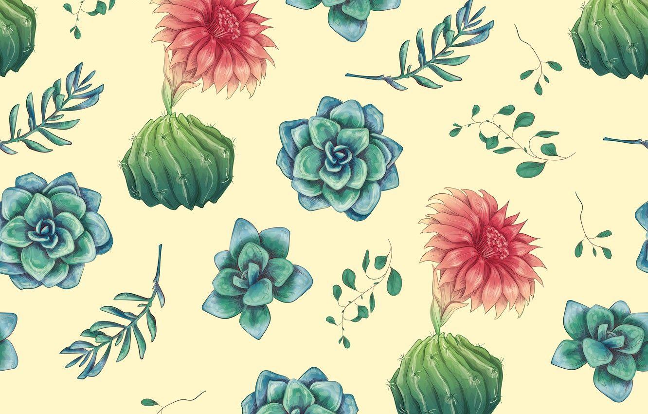 1332x850 Wallpaper leaves, flowers, background, texture, cacti image