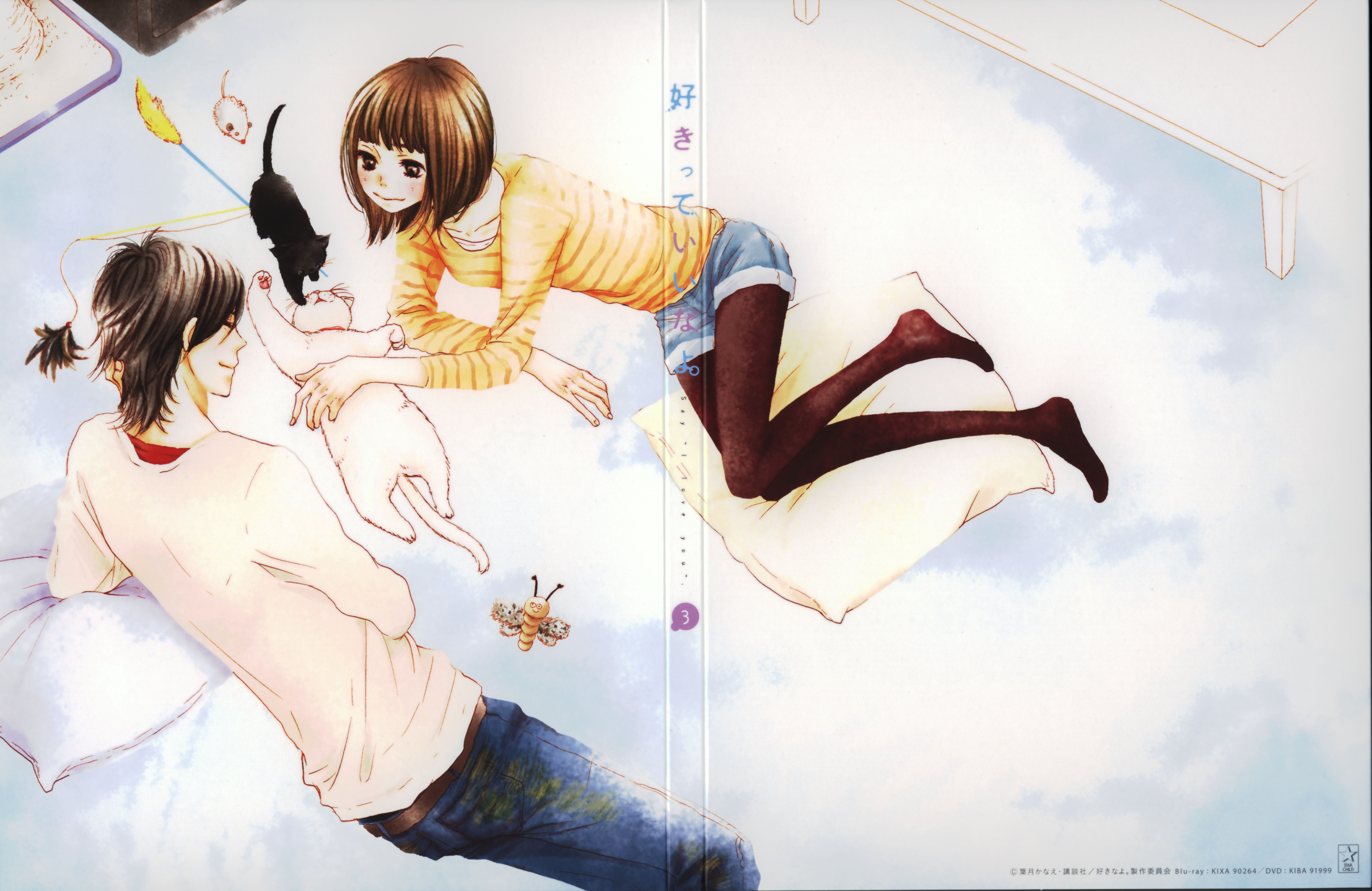 6776x4400 Say I Love You and Scan