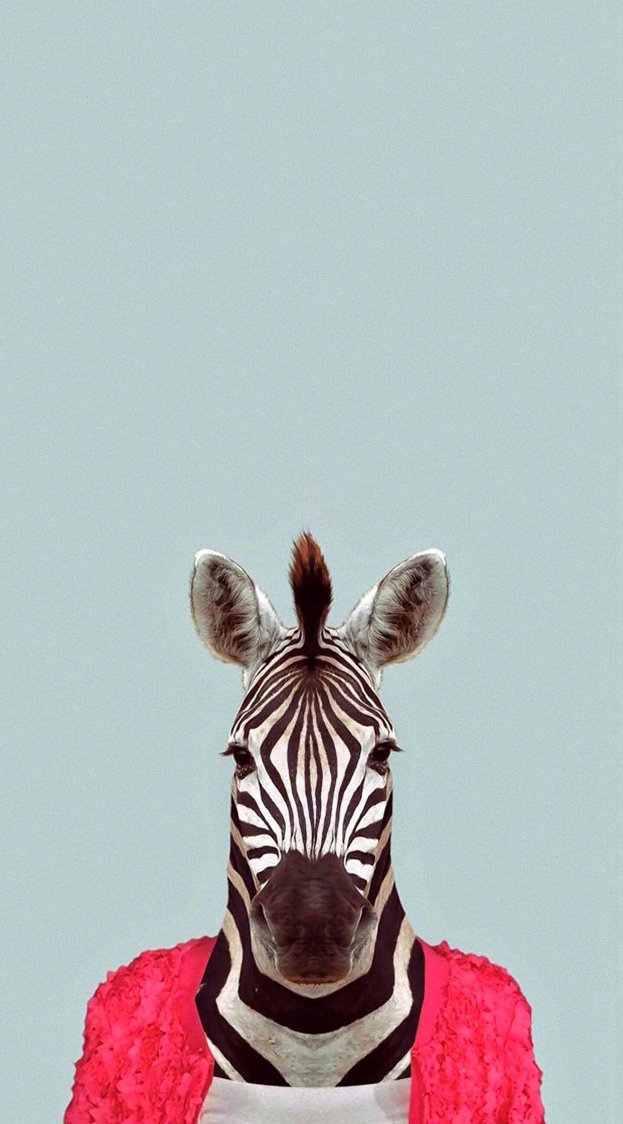1224x2208 Zebra wearing clothes art. Animals in Clothes Art. Animal
