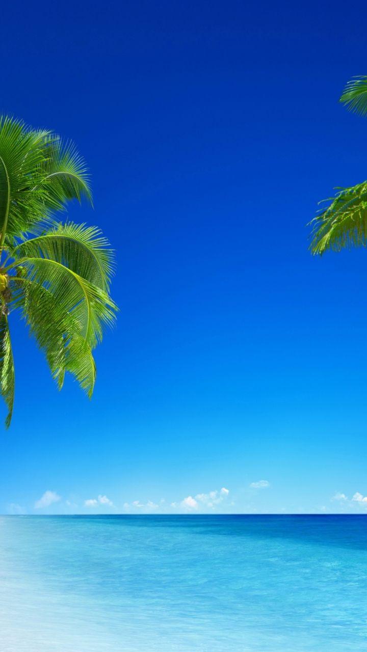 720x1280 Download tropical beach, 5k, 4k wallpaper, 8k, paradise