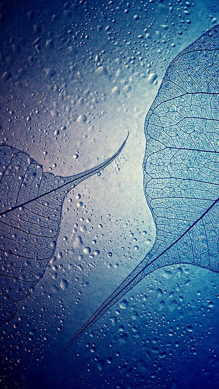 720x1280 Waterdrops samsung galaxy a5 Wallpaper HD 720x1280