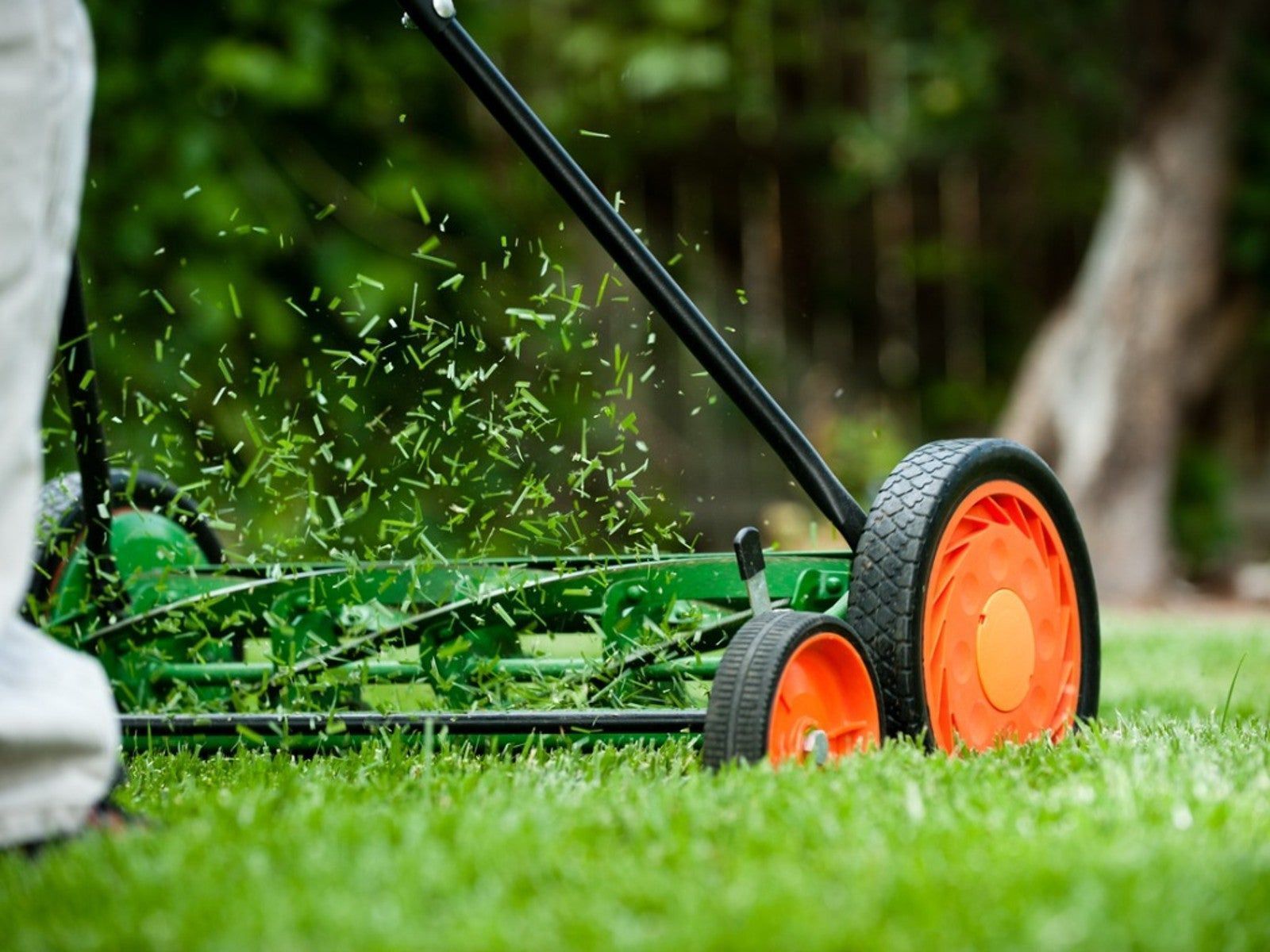 1600x1200 Manual Reel Mower Benefits And How To