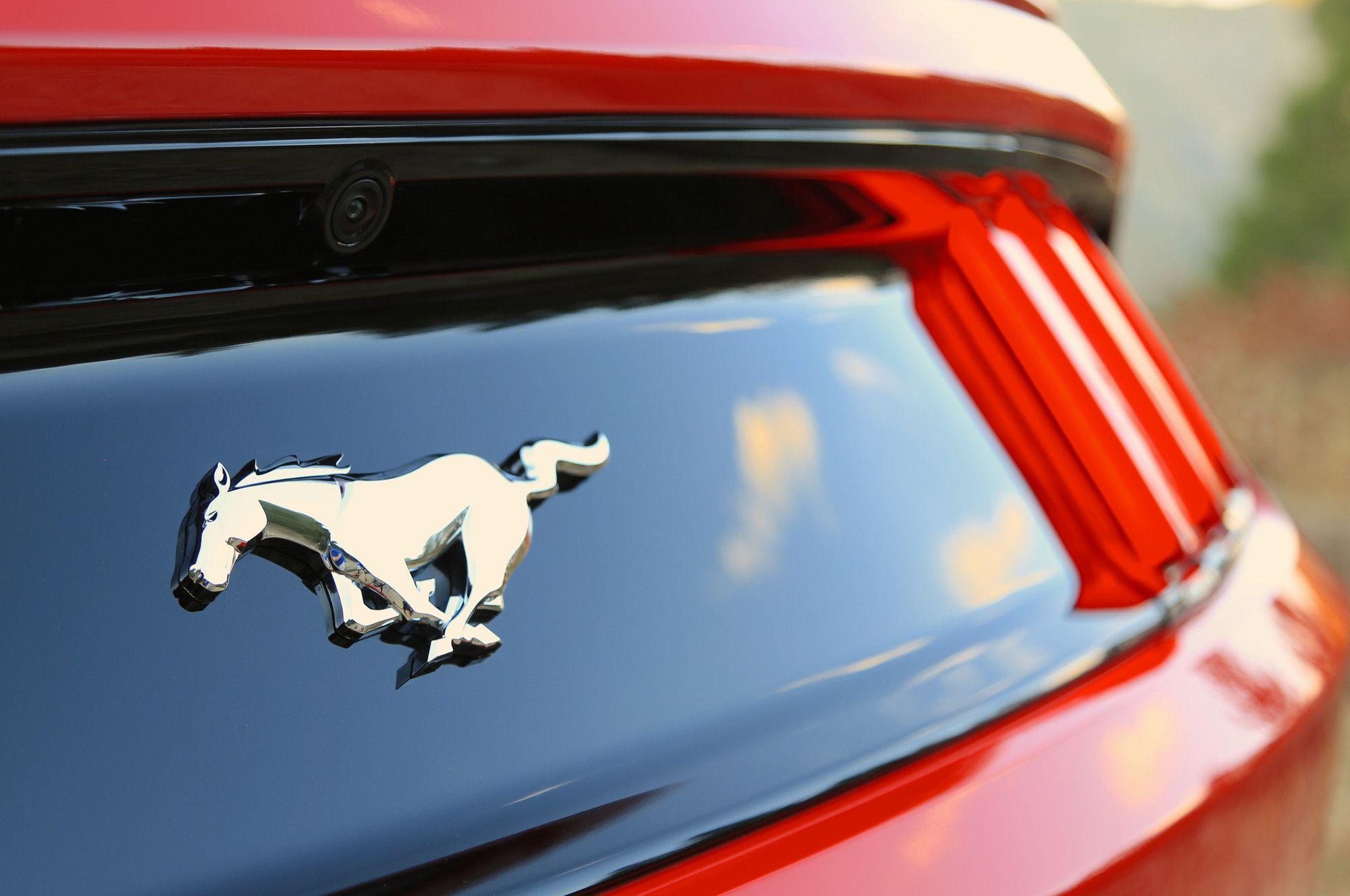 Hình nền Logo Ford Mustang 2048x1360 - Hình nền Logo Ford Mustang