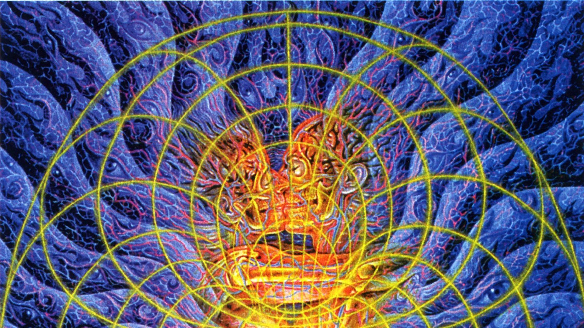 Download Manifest the Universe within  Alex Grey Wallpaper  Wallpapers com