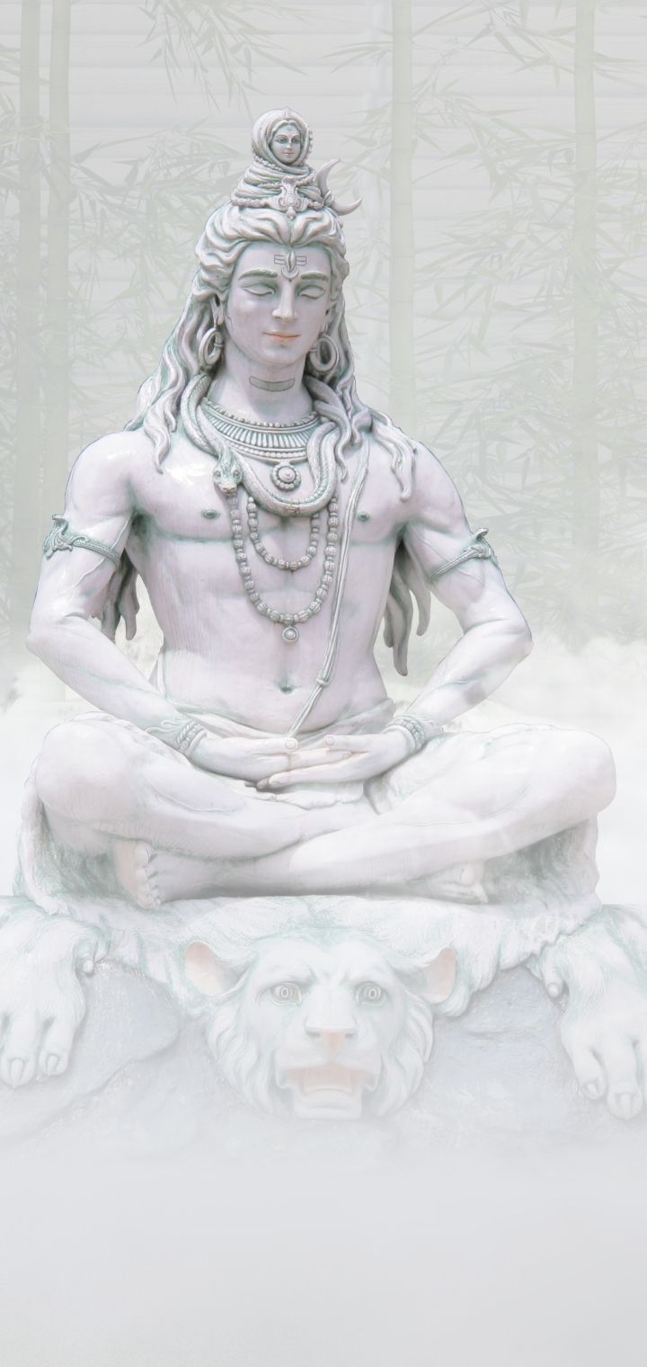 720x1520 Statue, Deity, Hinduism, Religious