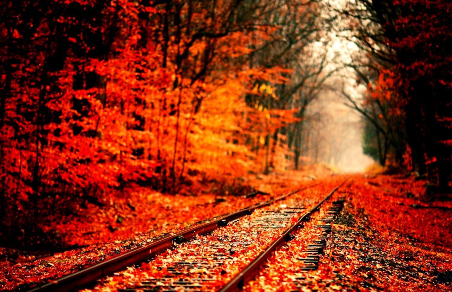1512x976 Fall Wallpaper
