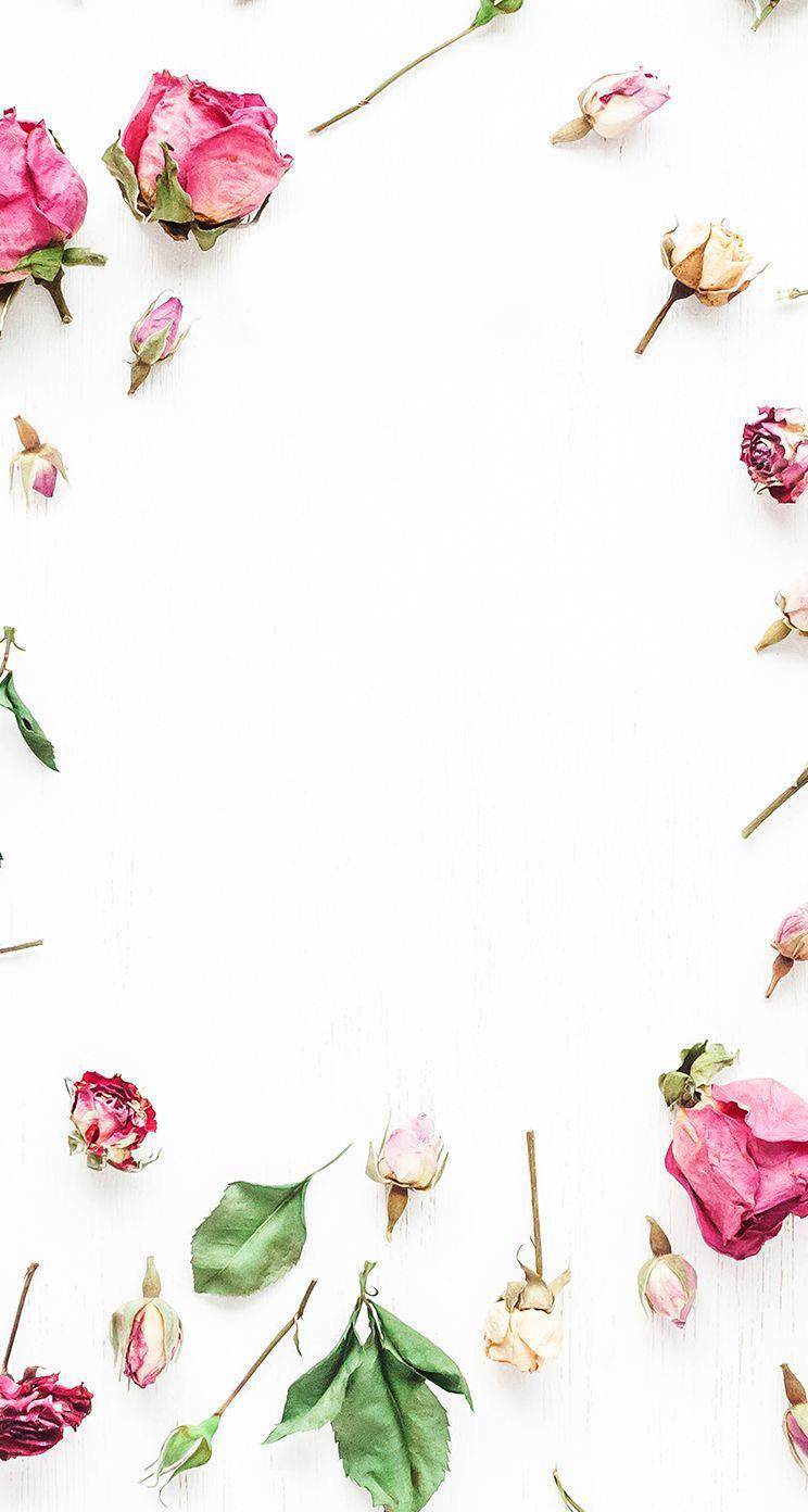744x1392 Flower iPhone Wallpaper Pinterest 2018 Calendar