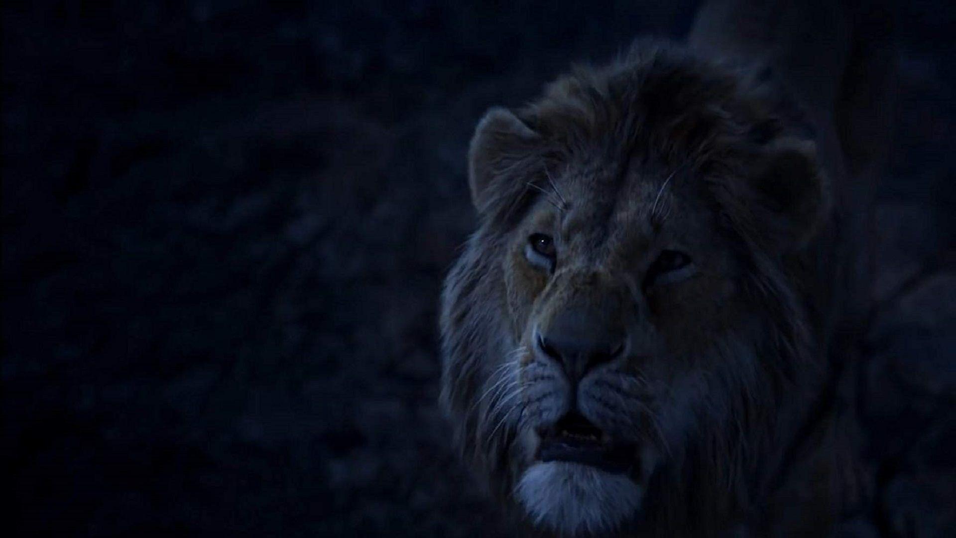 1920x1080 The Lion King 2019 Wallpaper High Quality