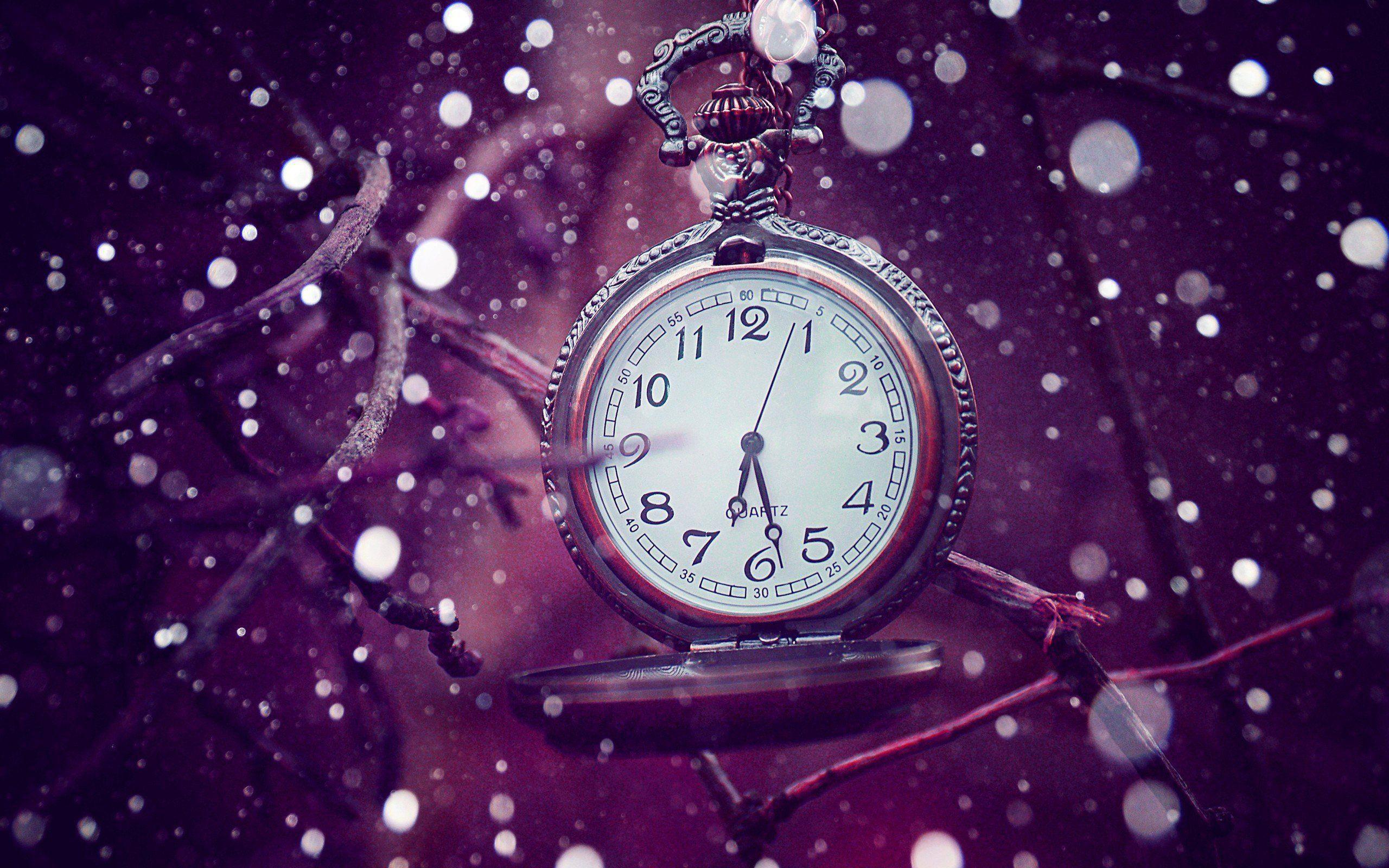 2560x1600 Girls Purple Wallpaper, Picture
