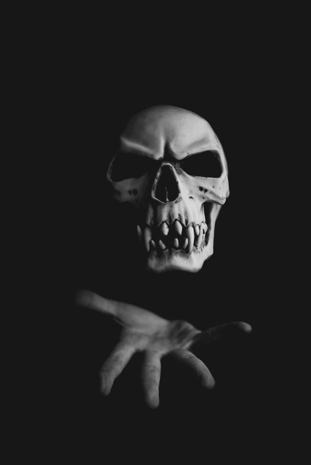 1000x1498 Skull Background Image: Download