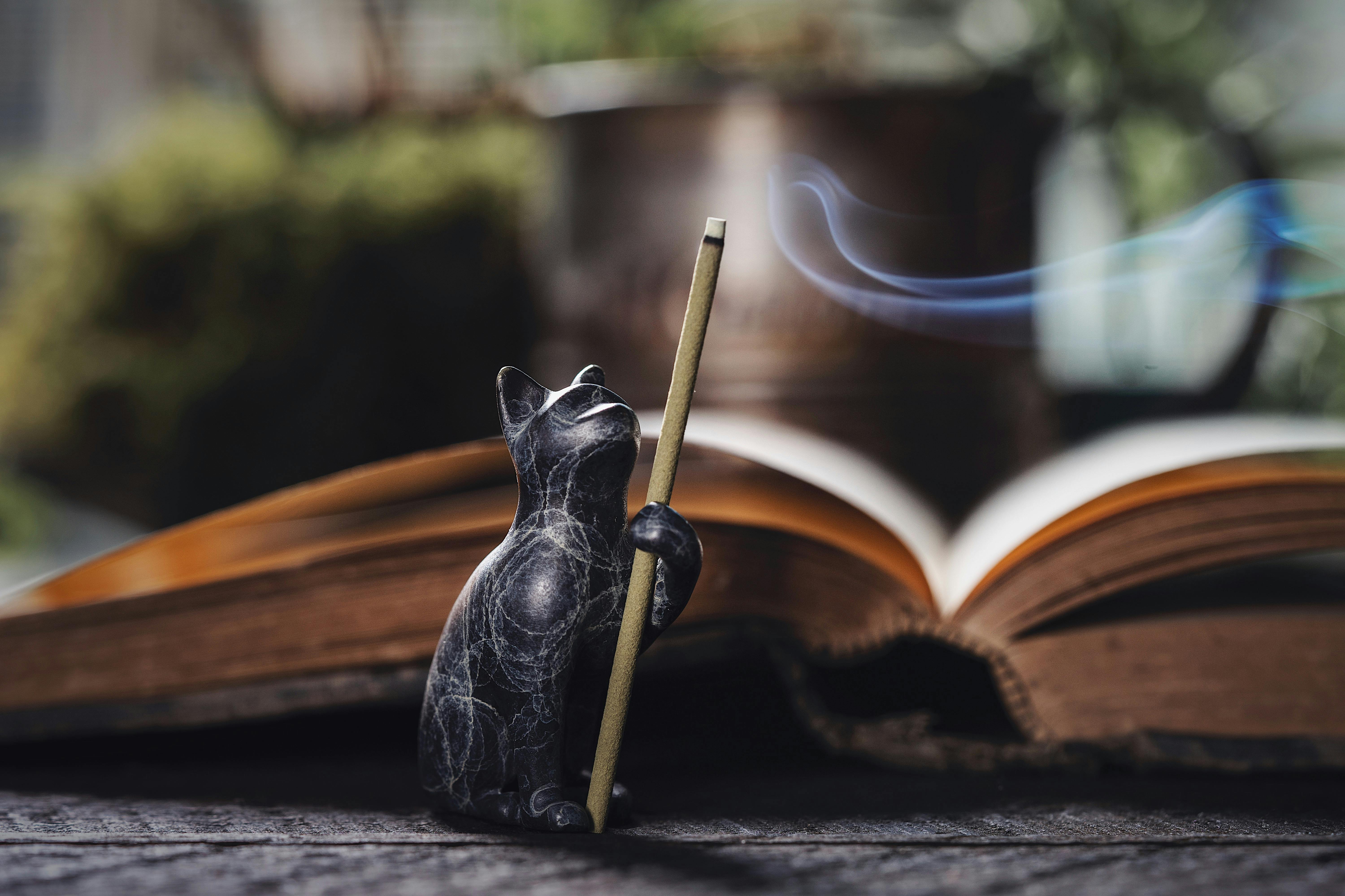 6000x4000 Cat Figurine with an Incense