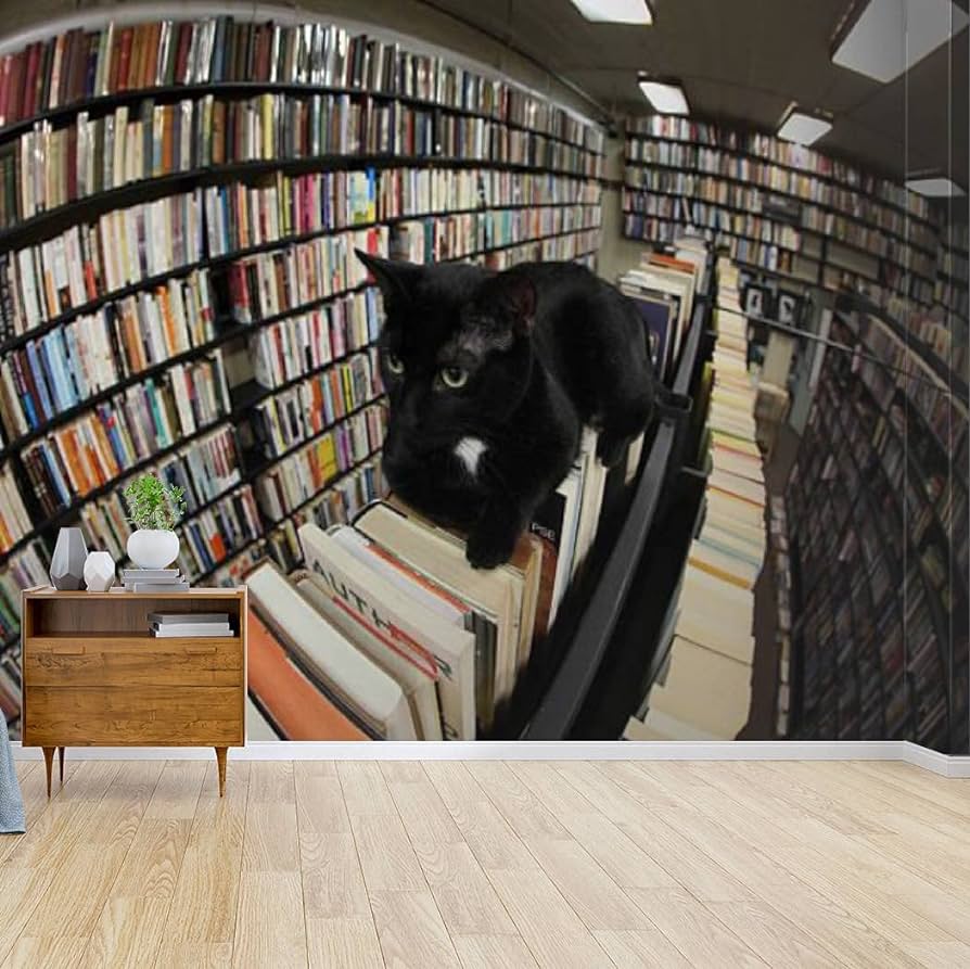 894x893 Wallpaper Canvas Print Black Cat Lays